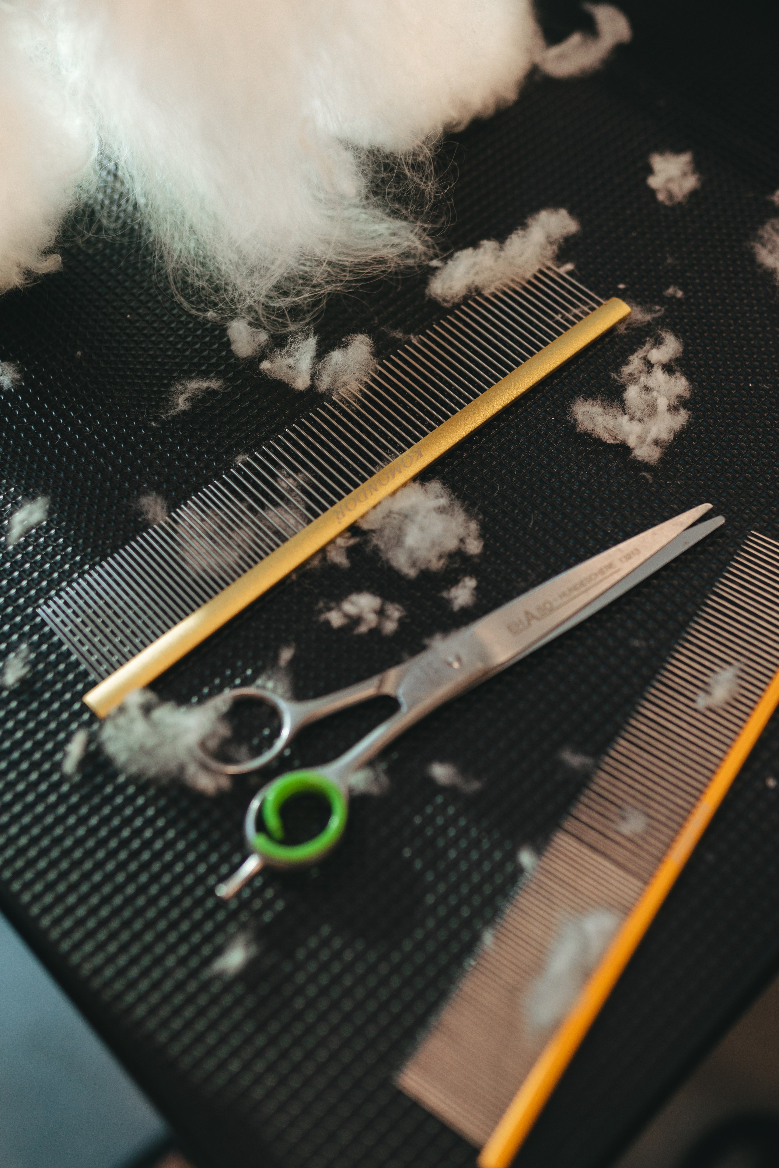 Груминг — салон. Фотограф анималист Осипчикова Мария