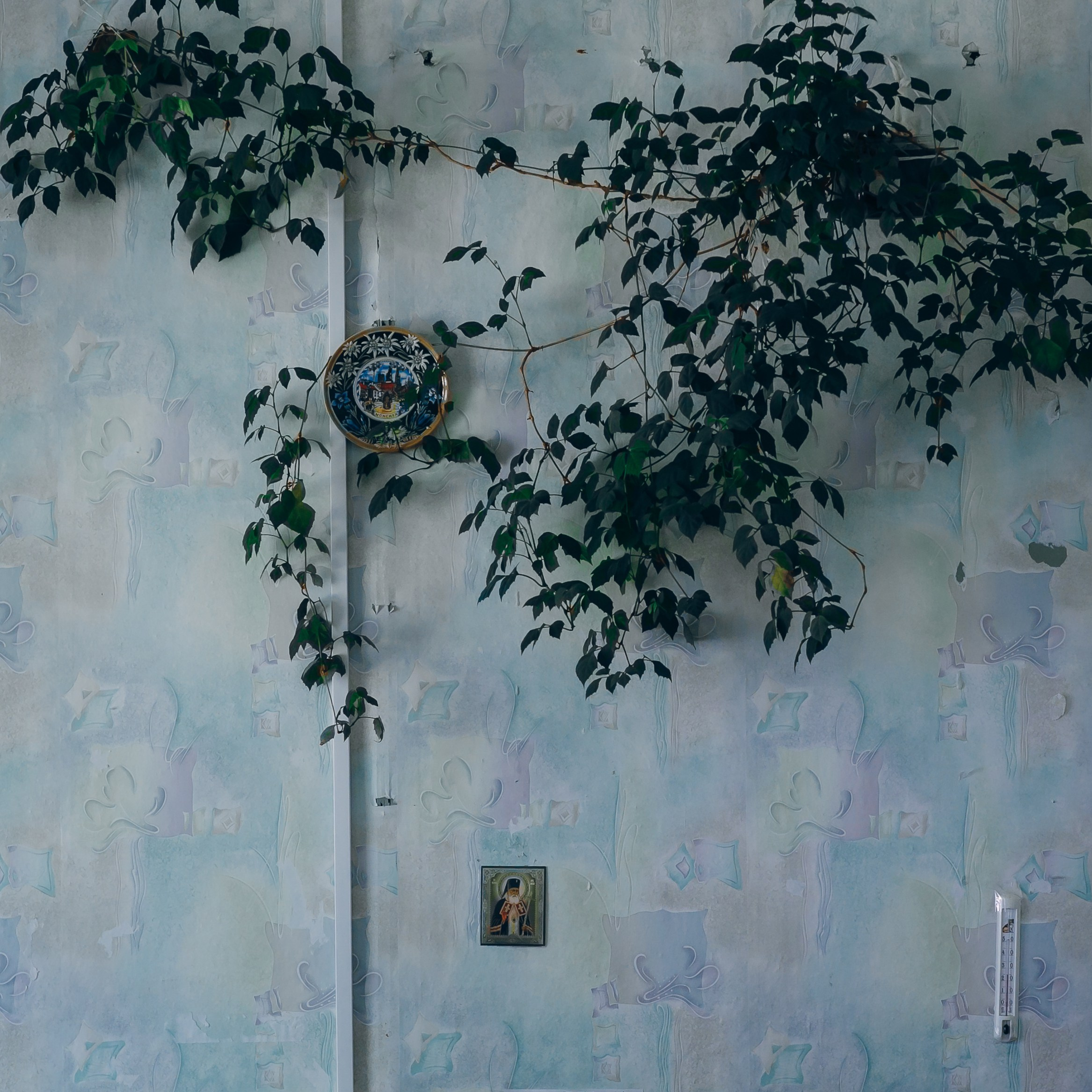 ФАПы. Шулятьева Анна визуальный художник