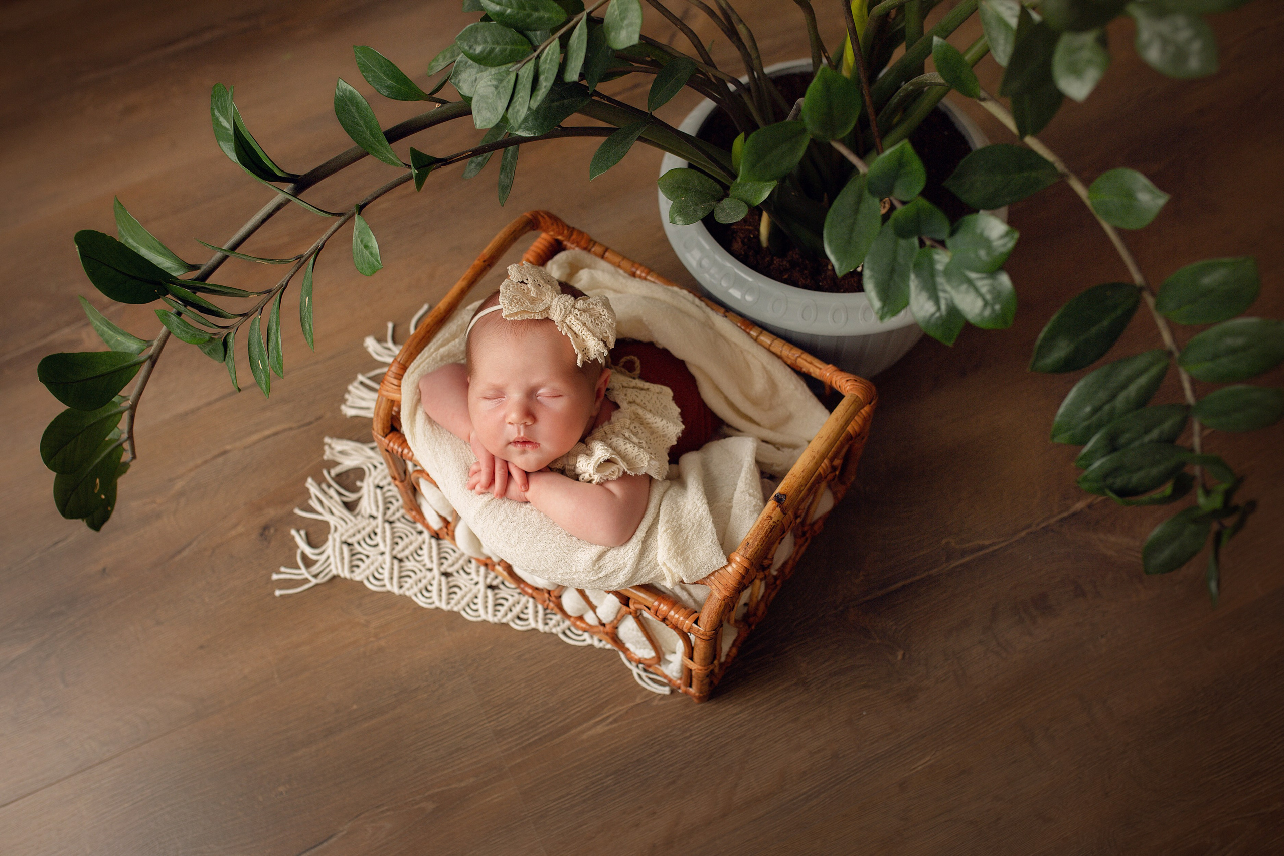 ЛЮБОВЬ Classic. Фотограф новорожденных Оксана Полевская