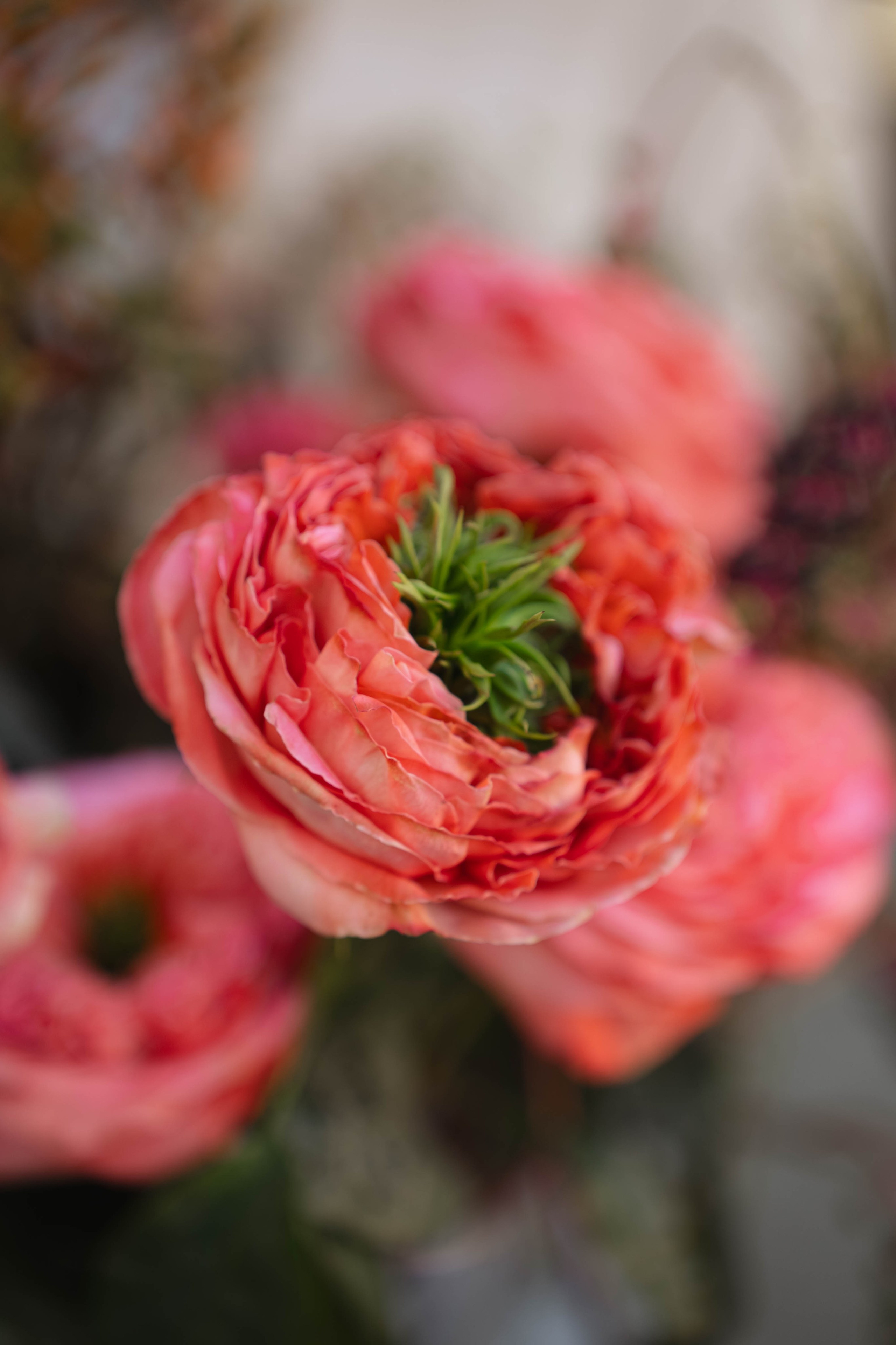 MIN SIN x Surf Coffee. Репортажный фотограф в Казани Виктория Трунова