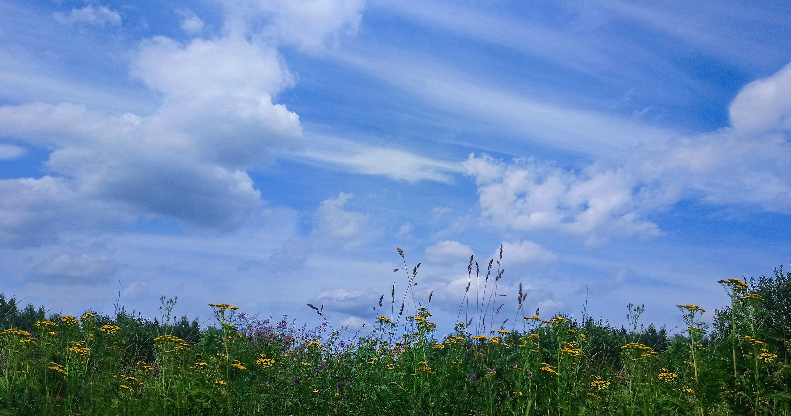 Фотохудожник в Москве Виктория Лаврова Искусство авторской фотографии для Вас