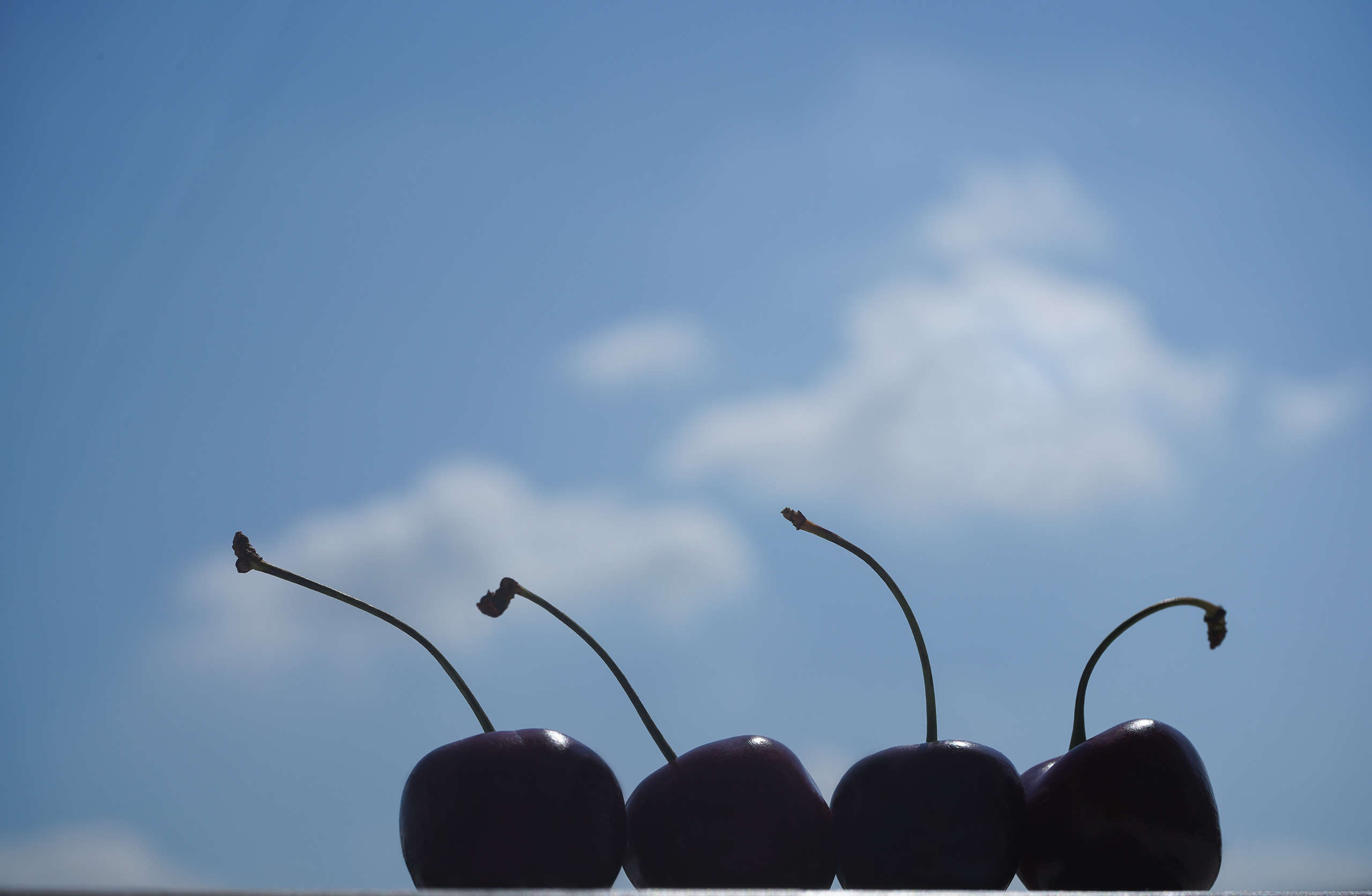 Взгляд в небо. Фотохудожник в Москве Виктория Лаврова Искусство авторской фотографии для Вас