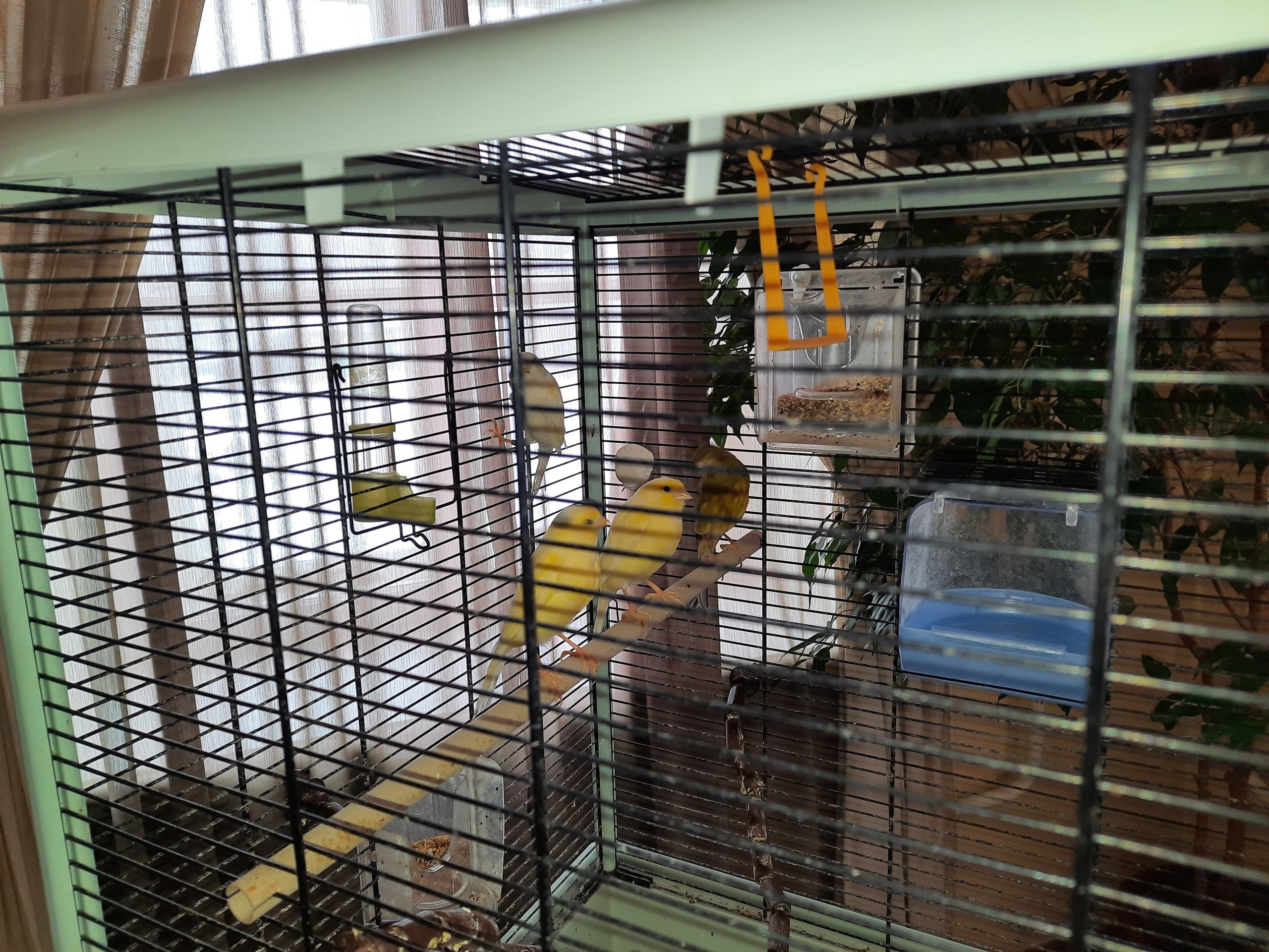 Калуга | 13-14.02.2021. Галерея Фантим