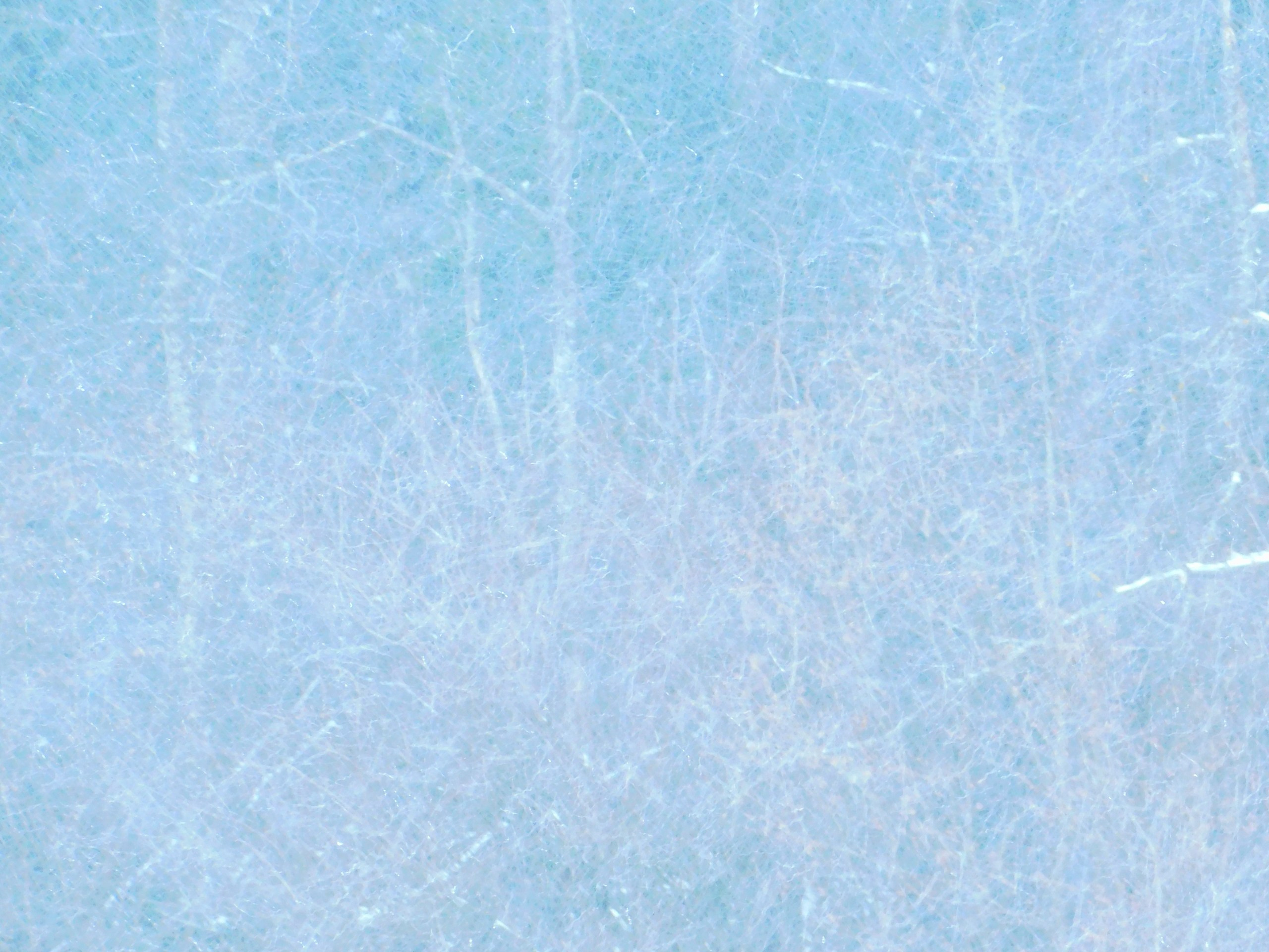 Зимний картинг | 30.01.2021. Галерея Фантим