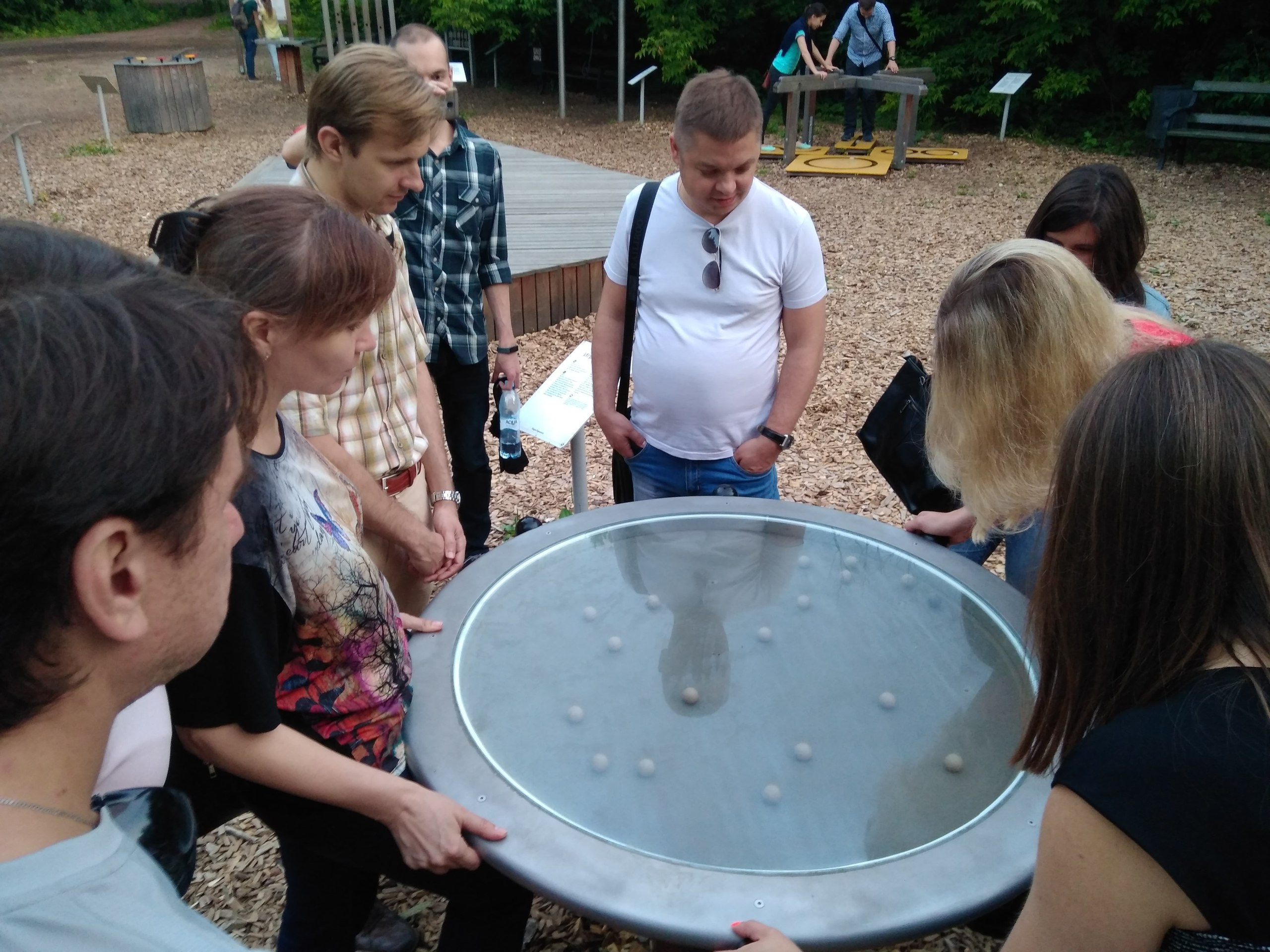 Прогулка на Воробьевых горах | 25.07.2017. Галерея Фантим