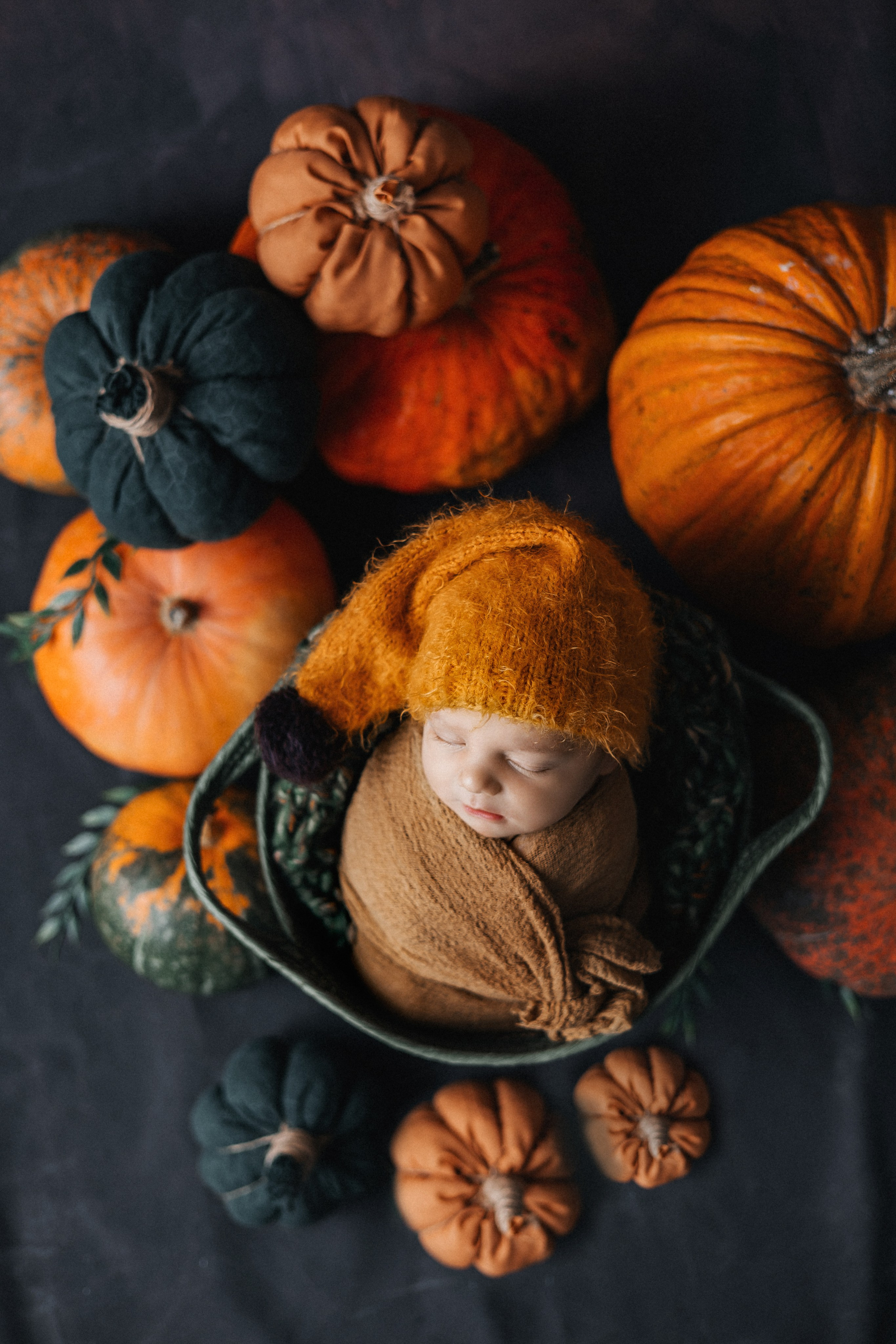 Тимофей, пакет «Комфорт», 10 дней. Фотограф новорождённых Екатерина Боброва. Ульяновск