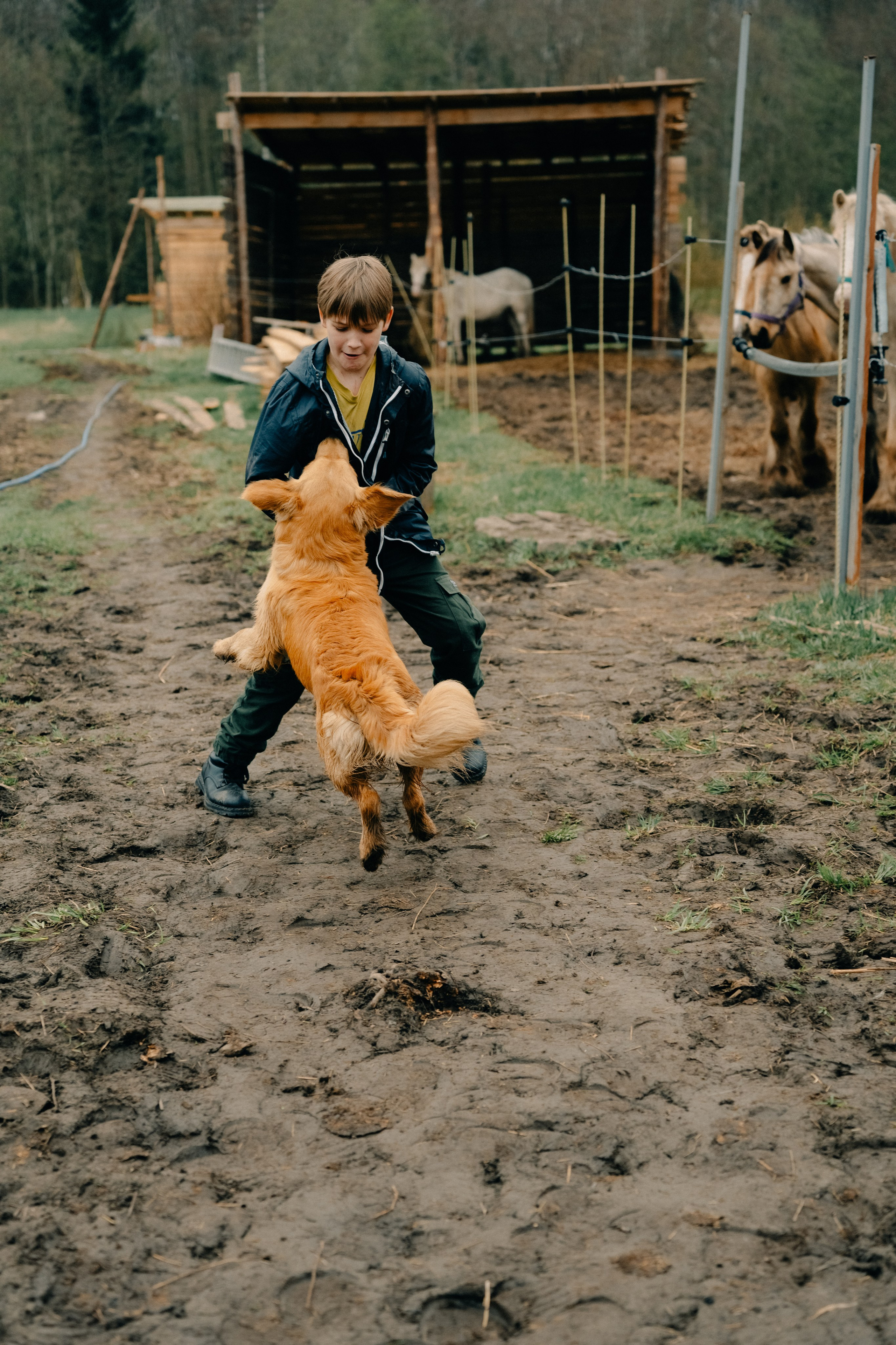 Зоопарк в моём багаже. Кошенкова Мария: портретный и репортажный фотограф. Санкт-Петербург
