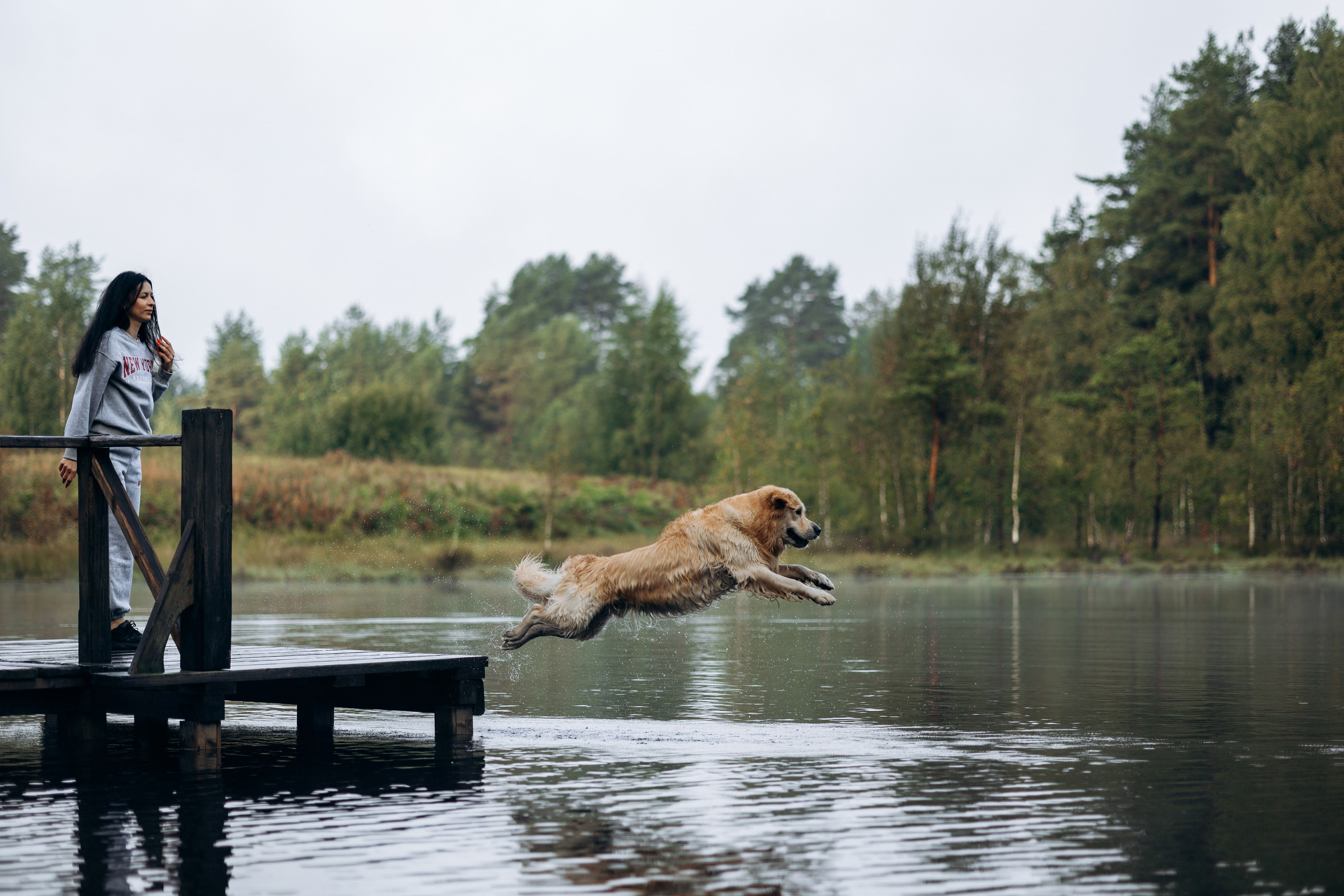 Лёва и его семья. Фотограф — Анималист | Санкт-Петербург