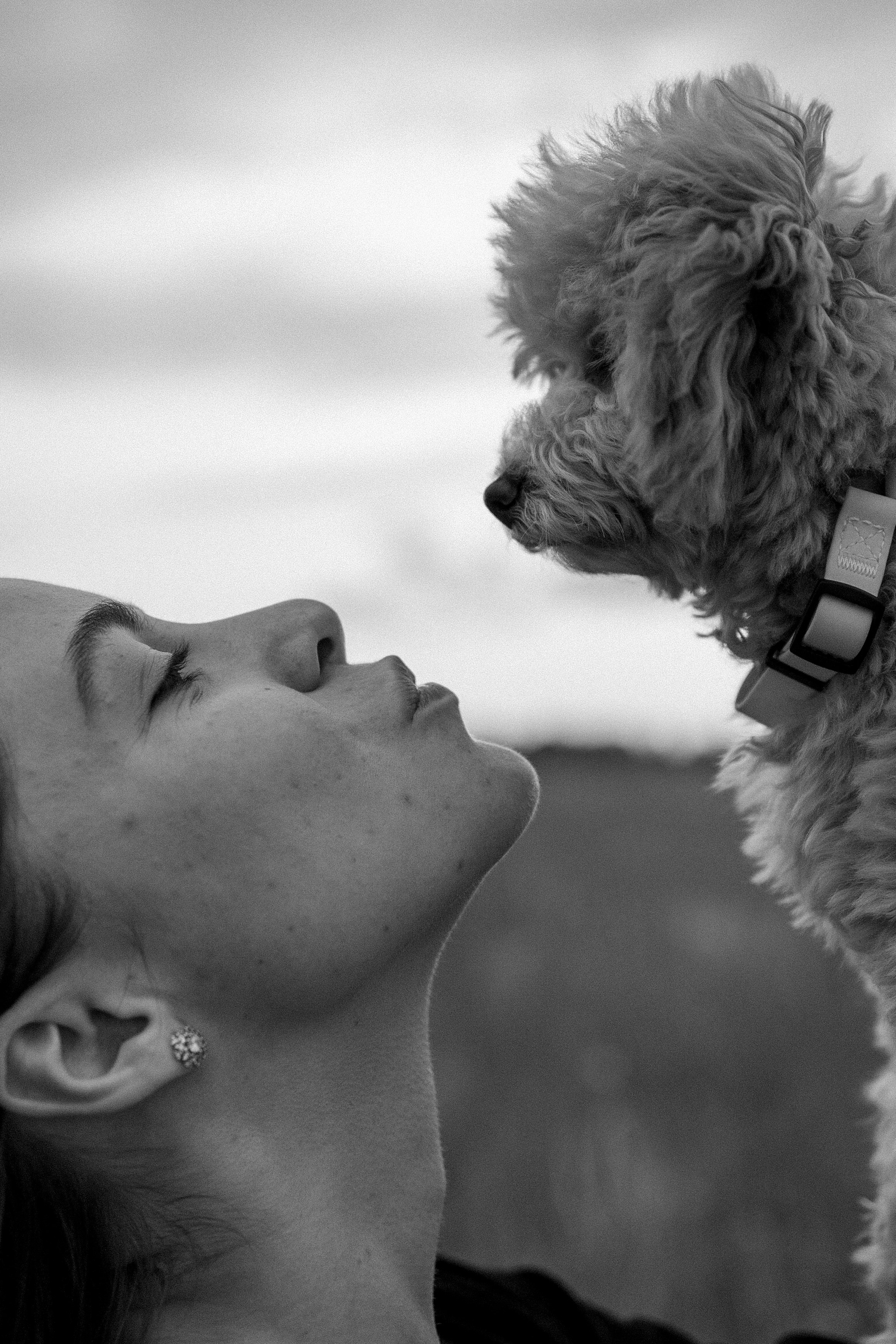 Мия и ее семья. Фотограф — Анималист | Санкт-Петербург