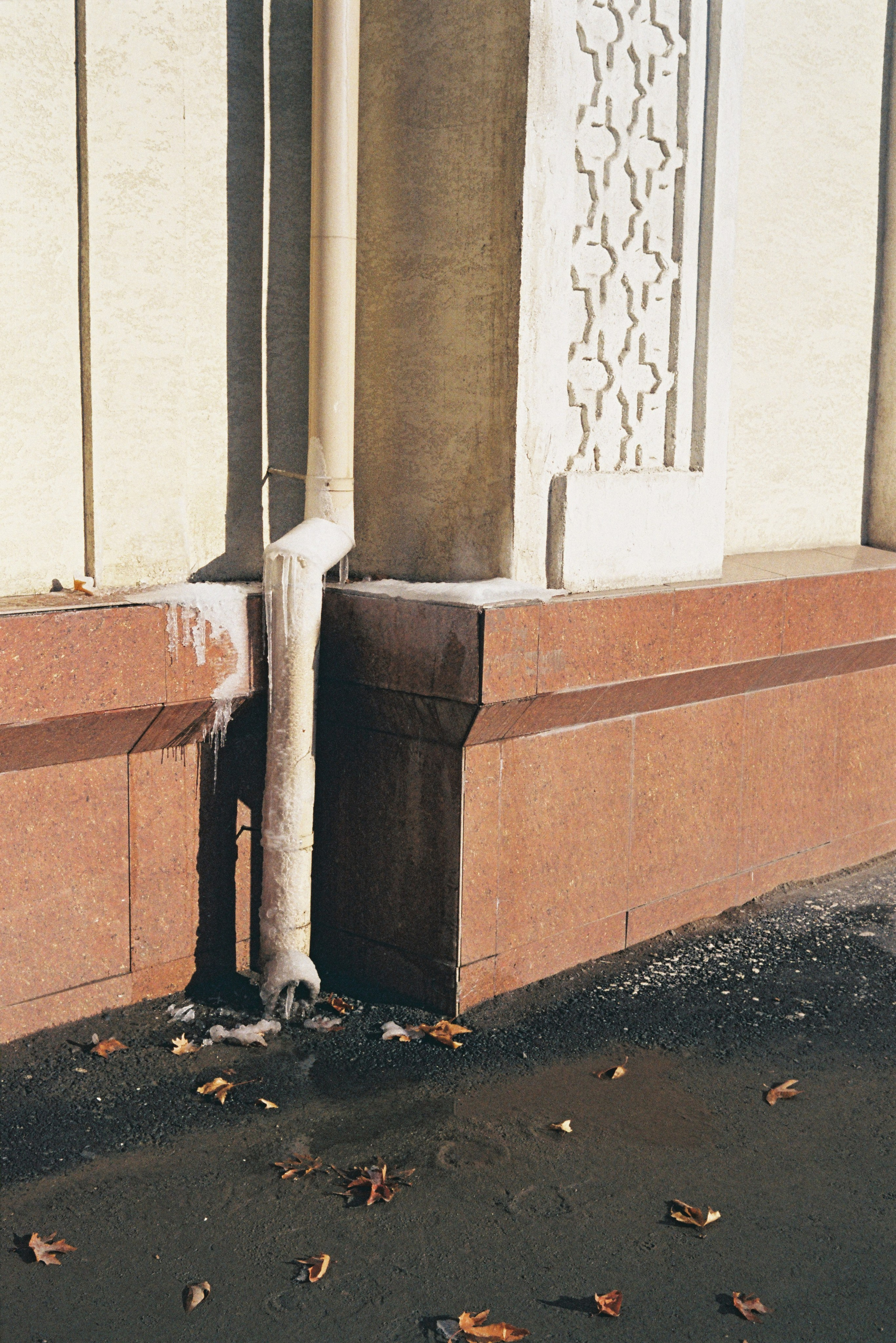 Tashkent 2022-2023. Dima Voronetsky