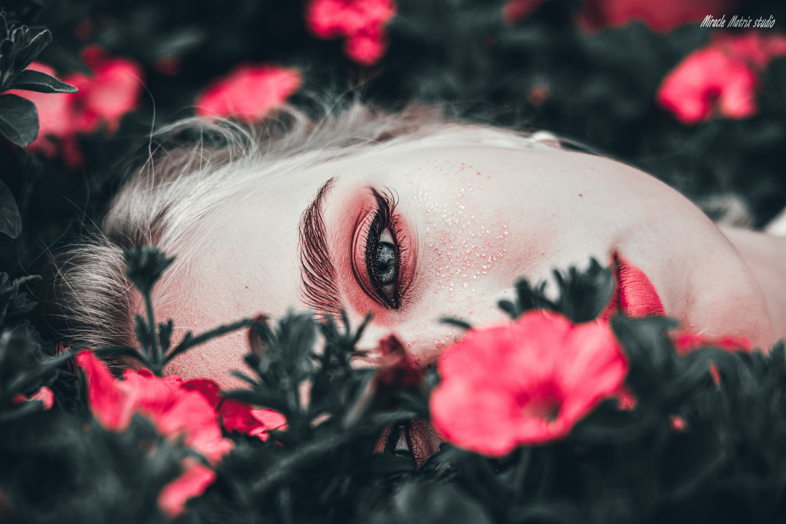 Фото день FLOWERS. Фотограф Зеленоград, Москва