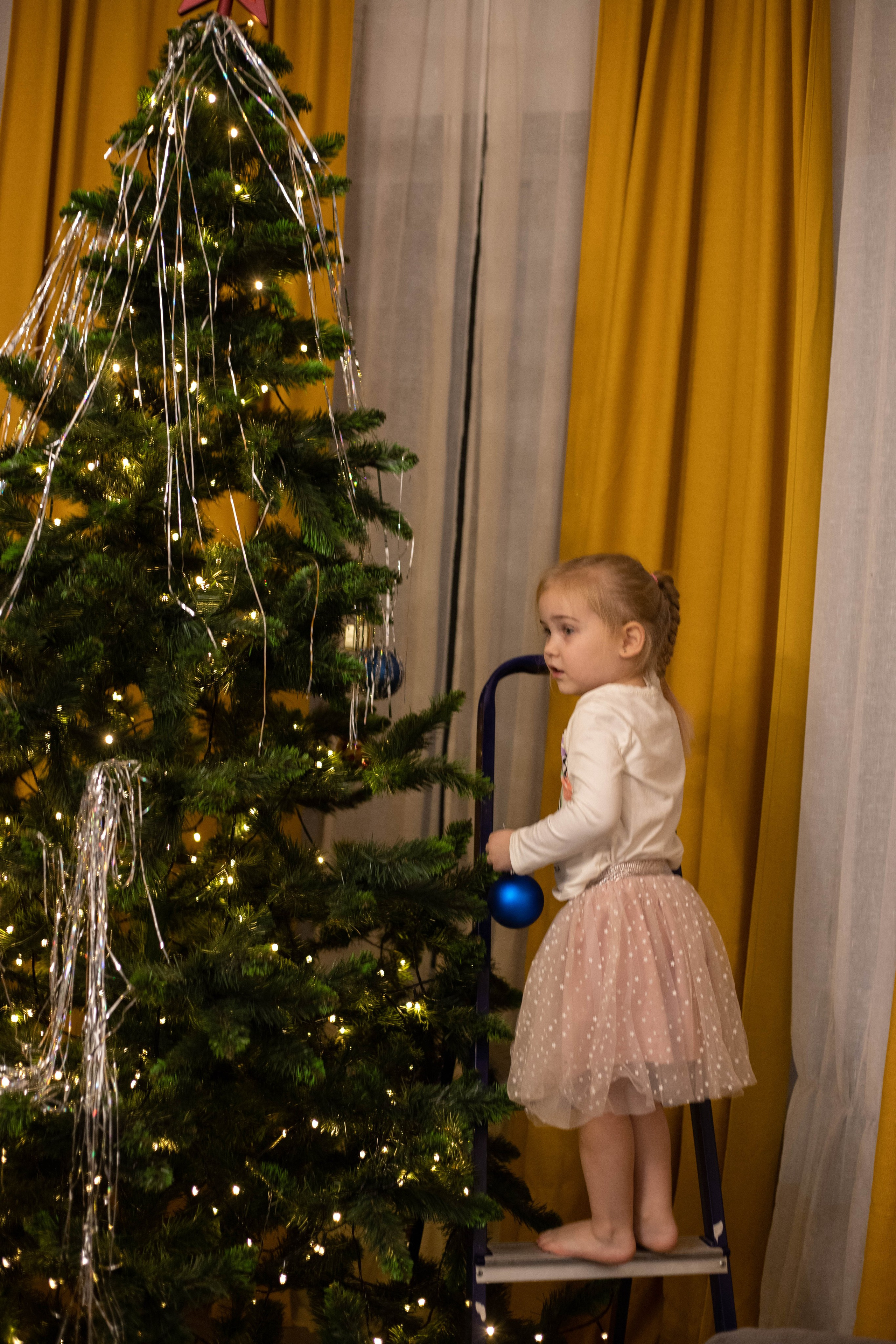 Домашние. Фотограф — Анастасия Хохлачева