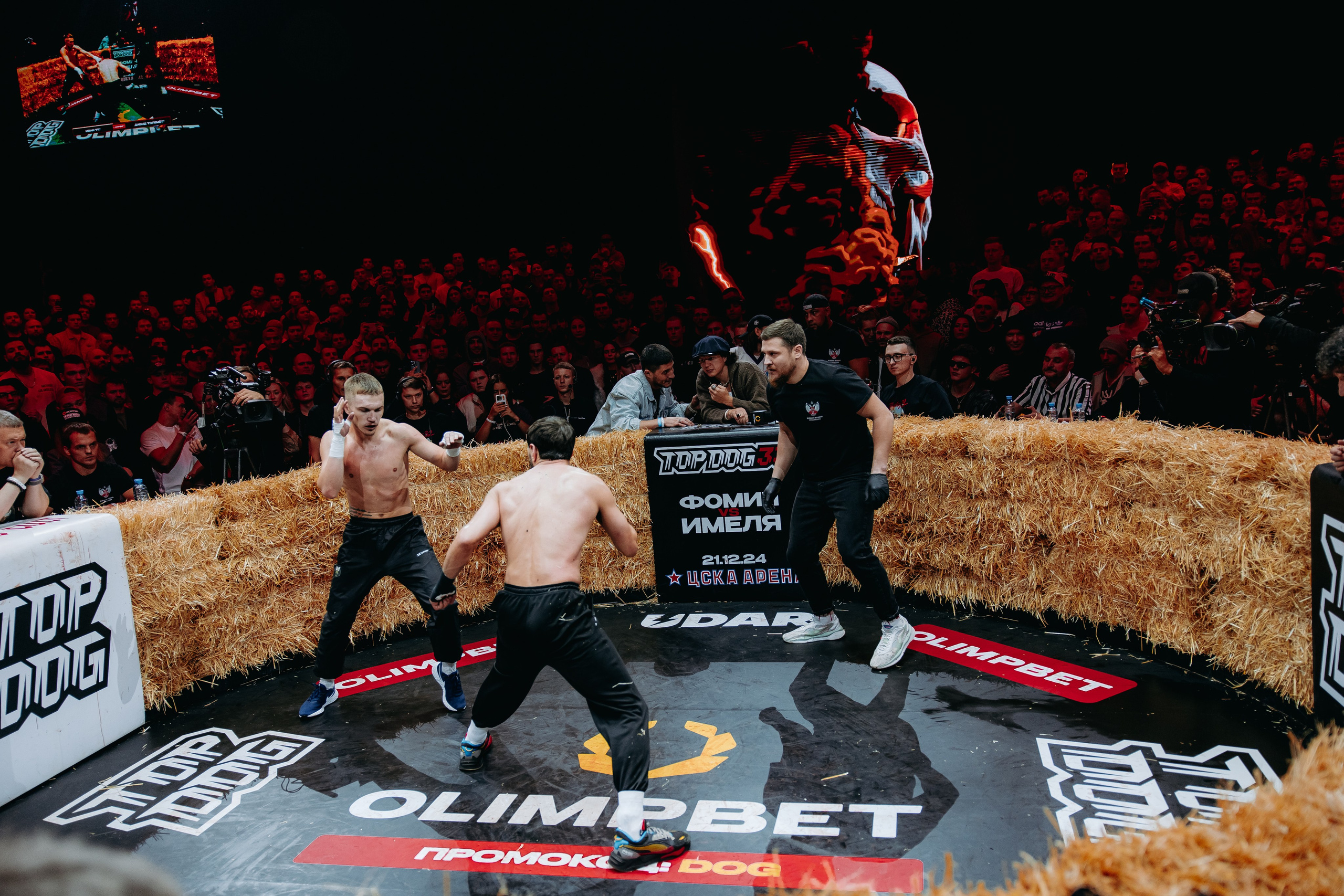 TOPDOG — 32. Фотограф в Саратове Александр Кухаренко. И не только в Саратове :)