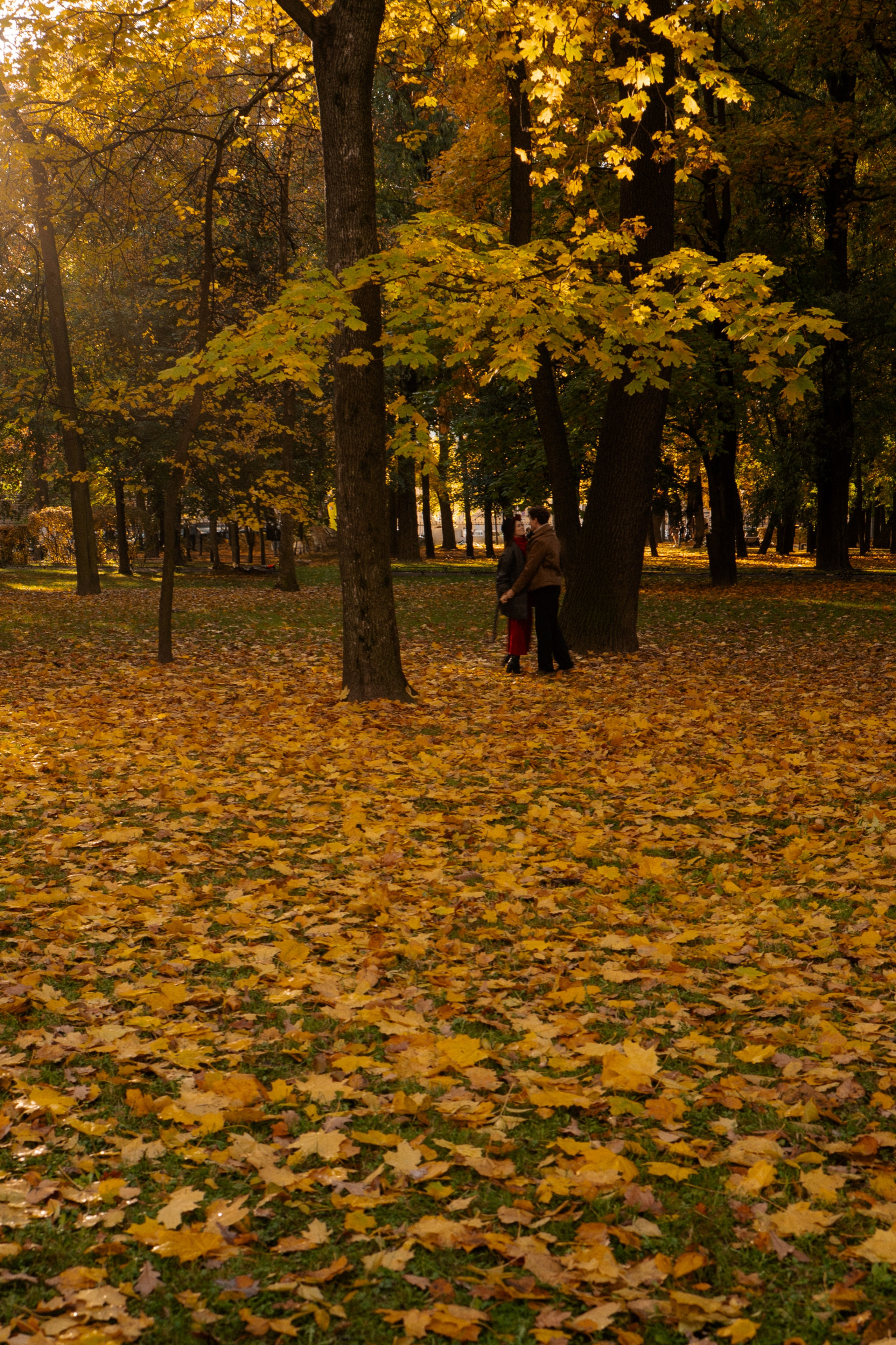 ОСЕННЯЯ ПРОГУЛКА. Профессиональный фотограф, Санкт-Петербург — Виктория Богомолова