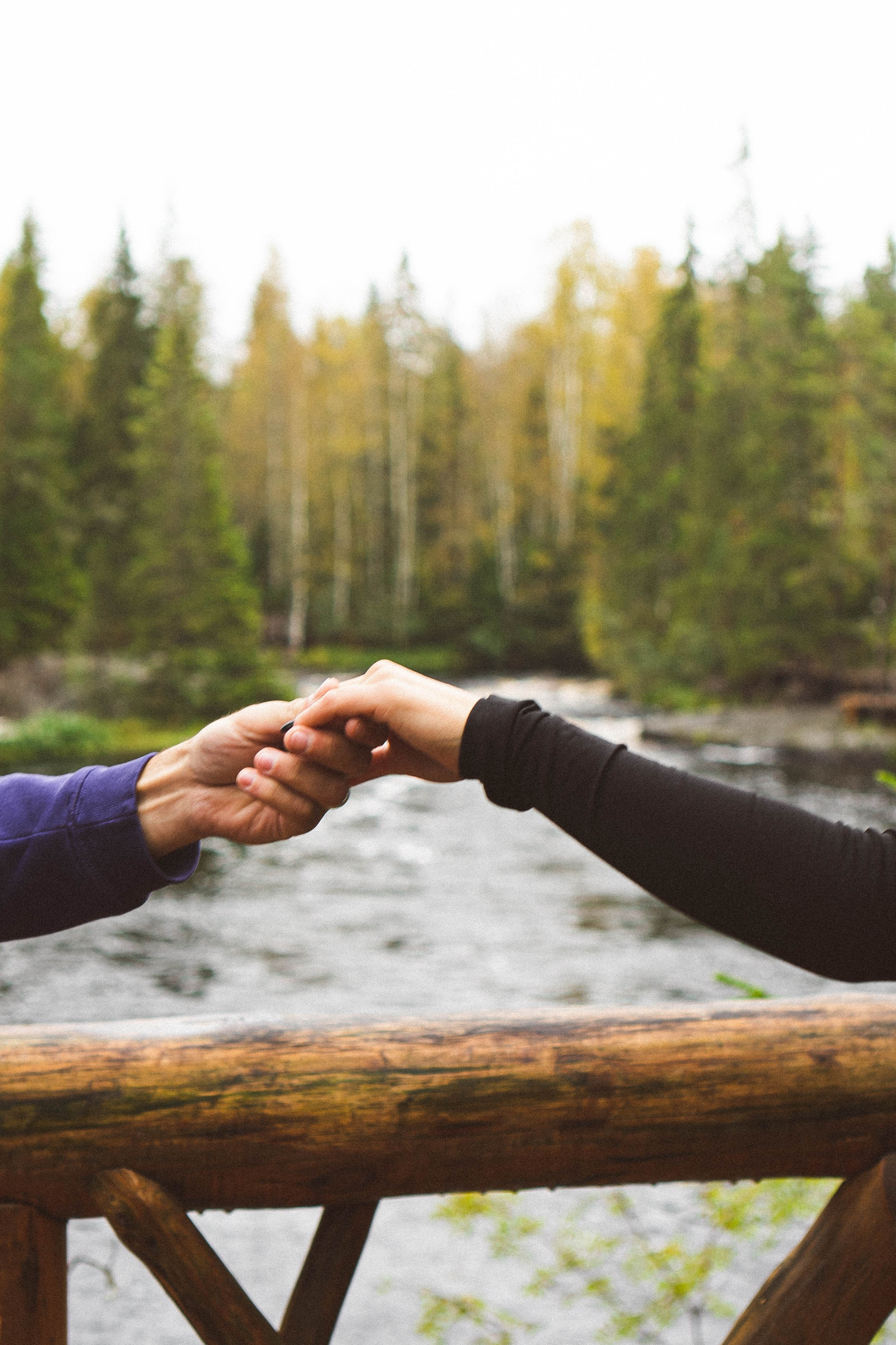Прогулка на природе. Профессиональный фотограф, Санкт-Петербург — Виктория Богомолова