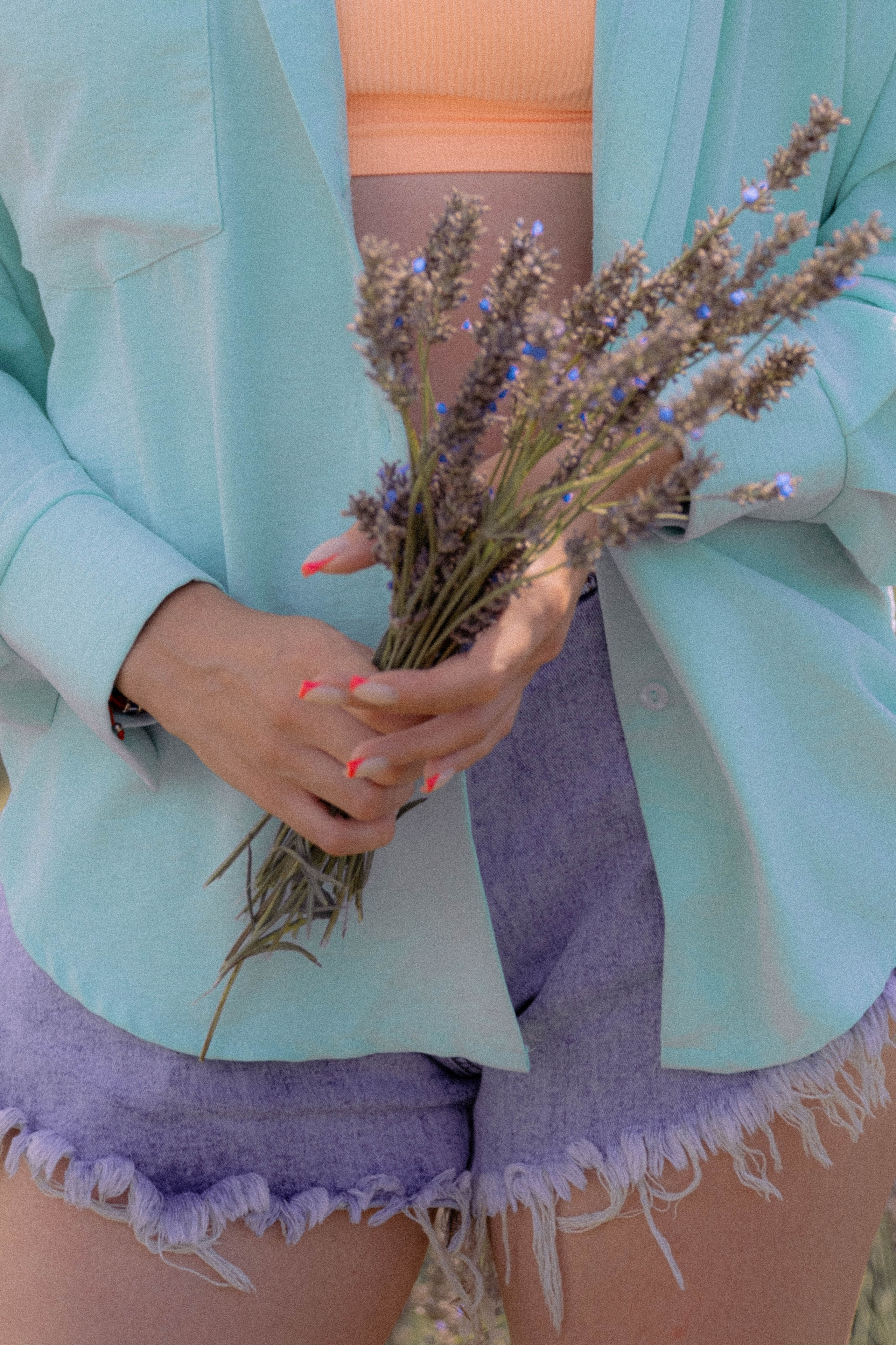 ЛАВАНВОДОВОЕ ПОЛЕ. Профессиональный фотограф, Санкт-Петербург — Виктория Богомолова