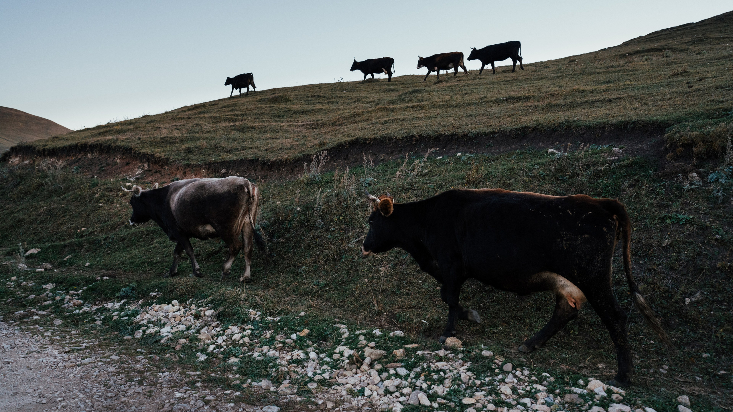 Село Кичи-Балык, Карачаево-Черкессия
