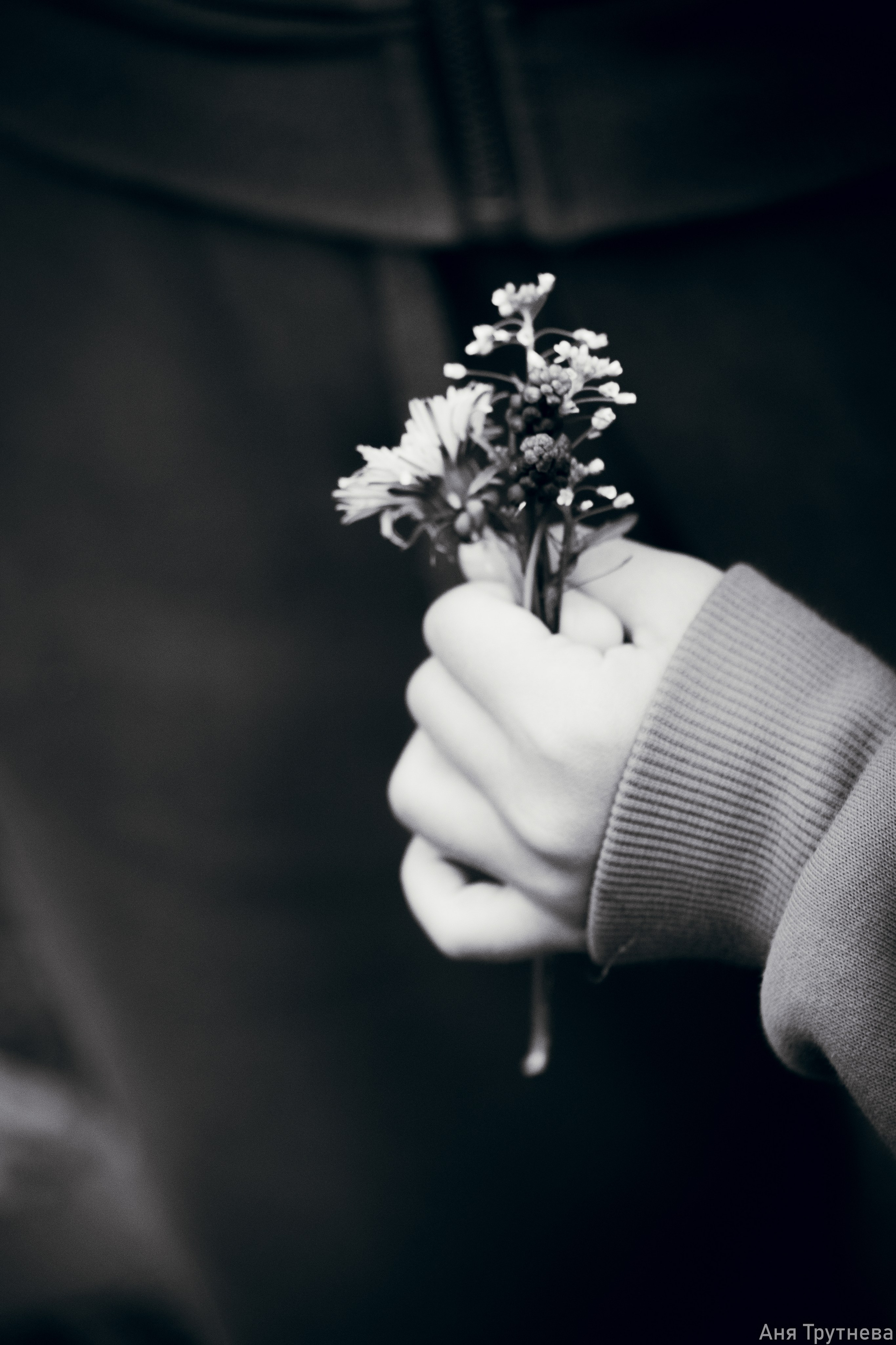 9 мая 2025. Фотограф и видеограф в Бугульме Аня Трутнева