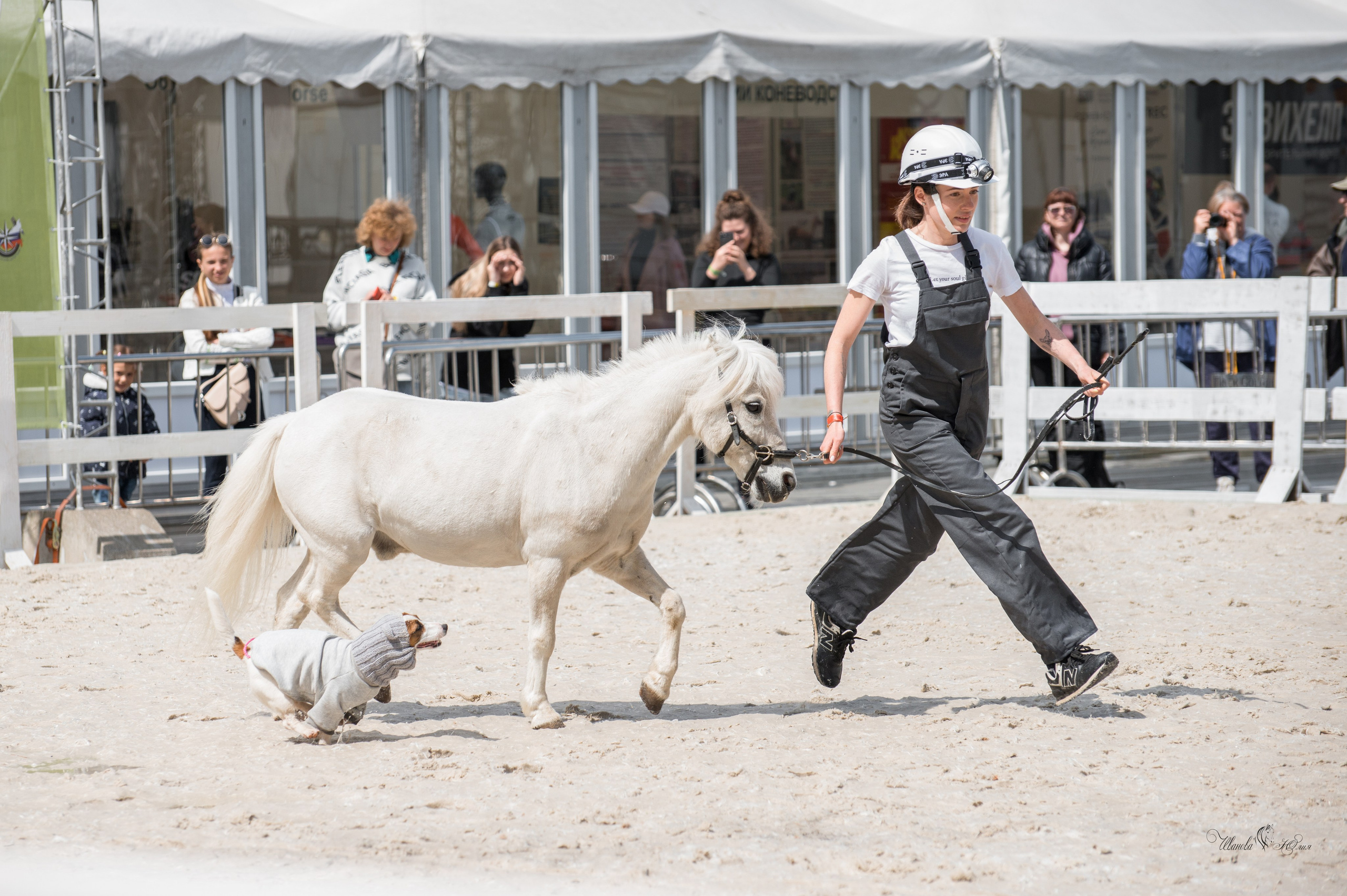 Эквирос, Москва. Конный фотограф в Саратове Юлия Иванова
