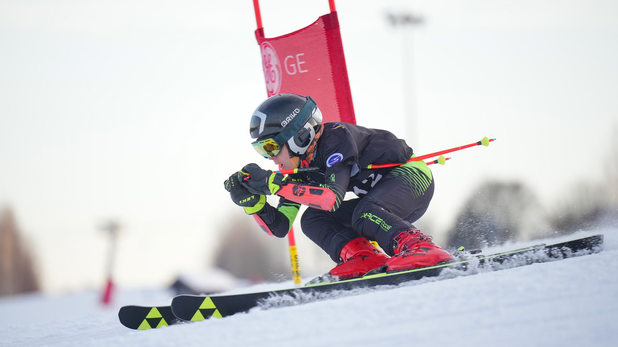 GS (Giant Slalom) - Слалом-гигант. Соревнования по горнолыжному спорту. Московская область, Шуколово
