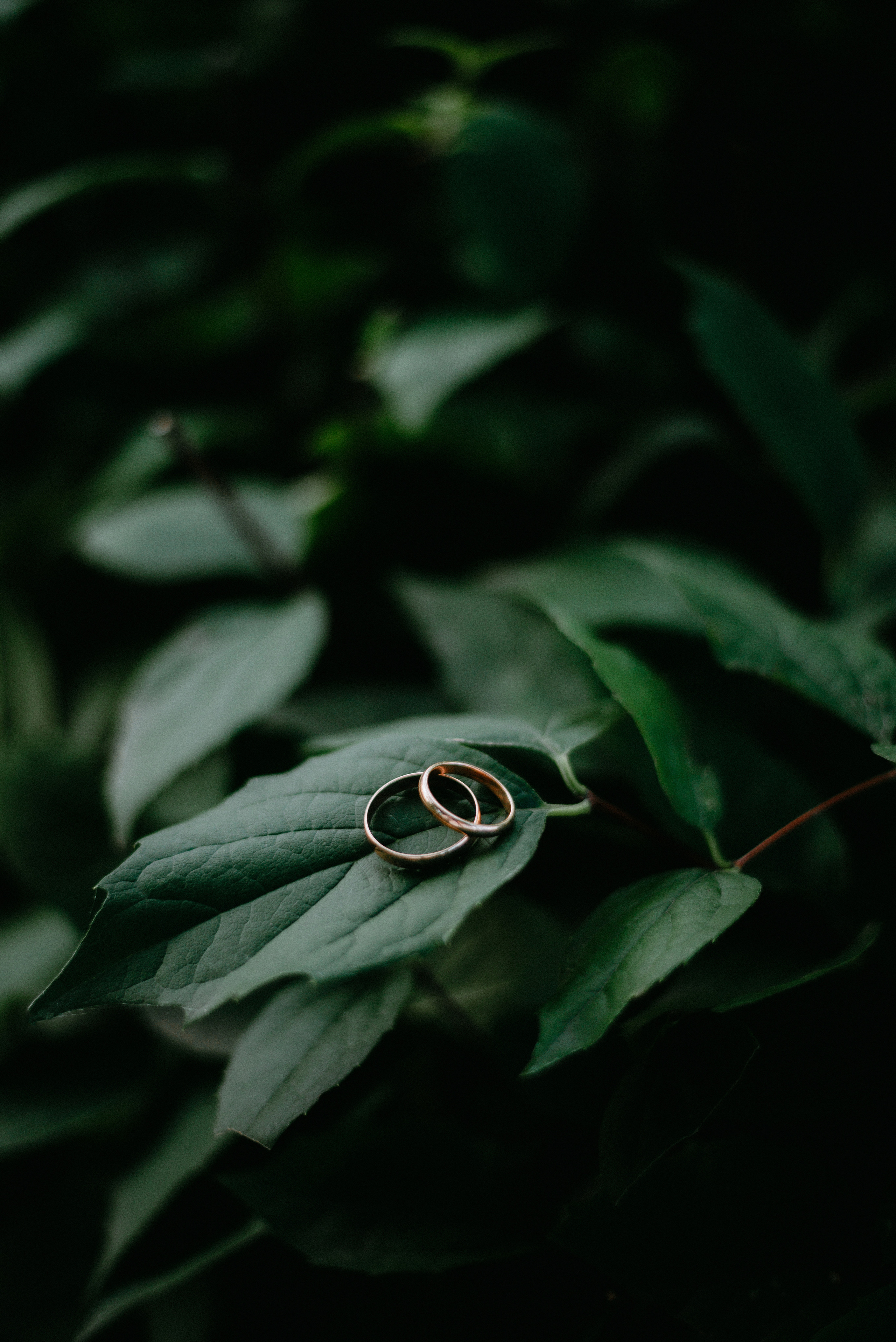 Александр и Анастасия. Свадебный день. Свадебный и семейный фотограф Волгоград Анастасия Садовникова