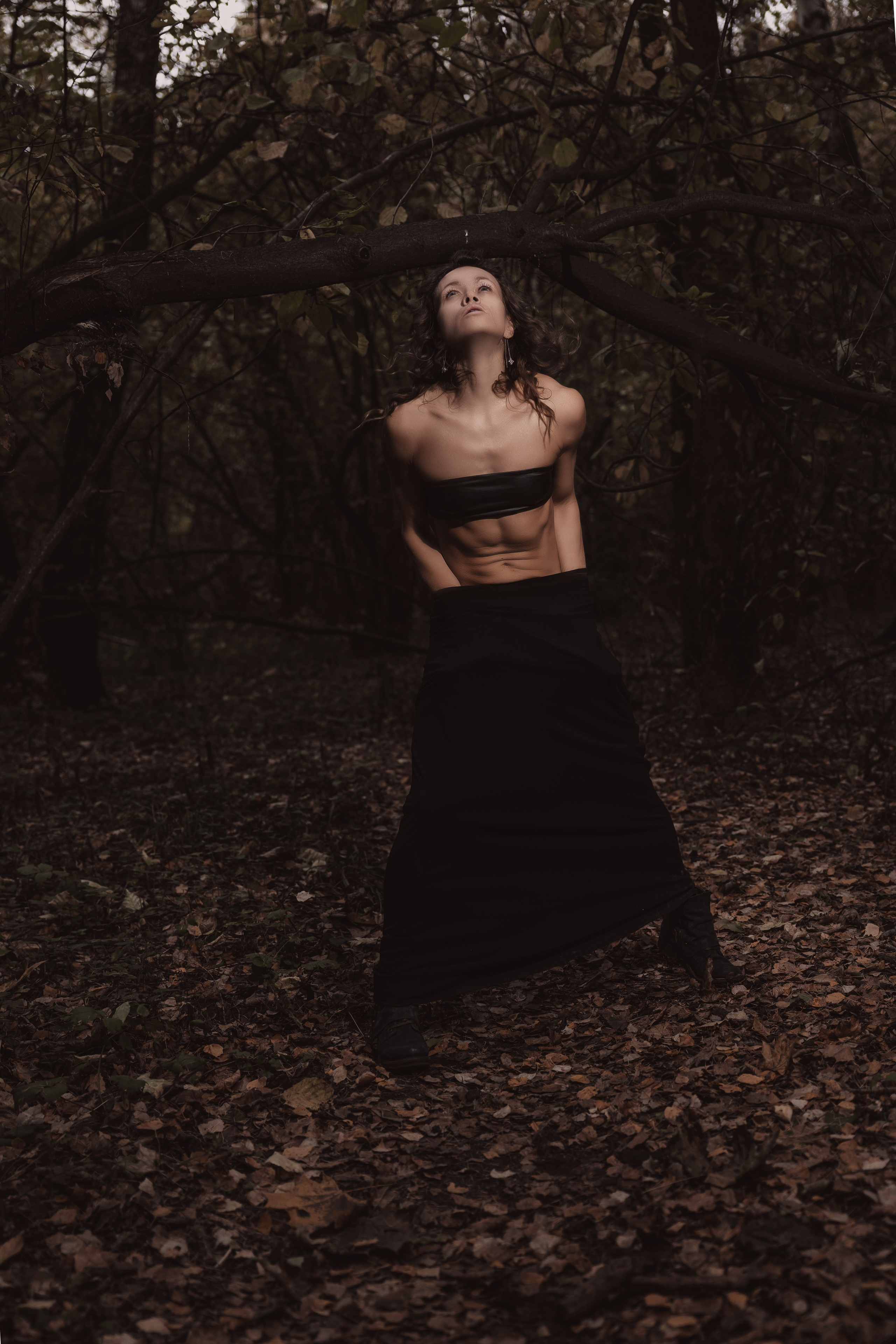 Kristina-Brauer. Shamirov Arkadiy