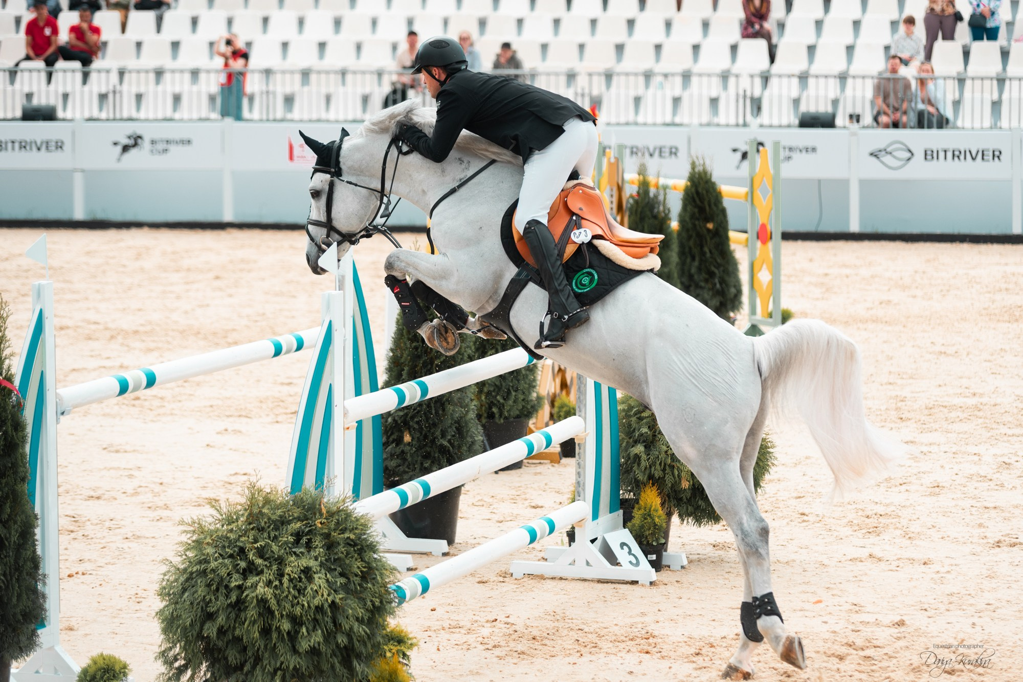 BITRIVER CUP 2023. Конный фотограф Куракина Дарья • Фотосессии с лошадьми