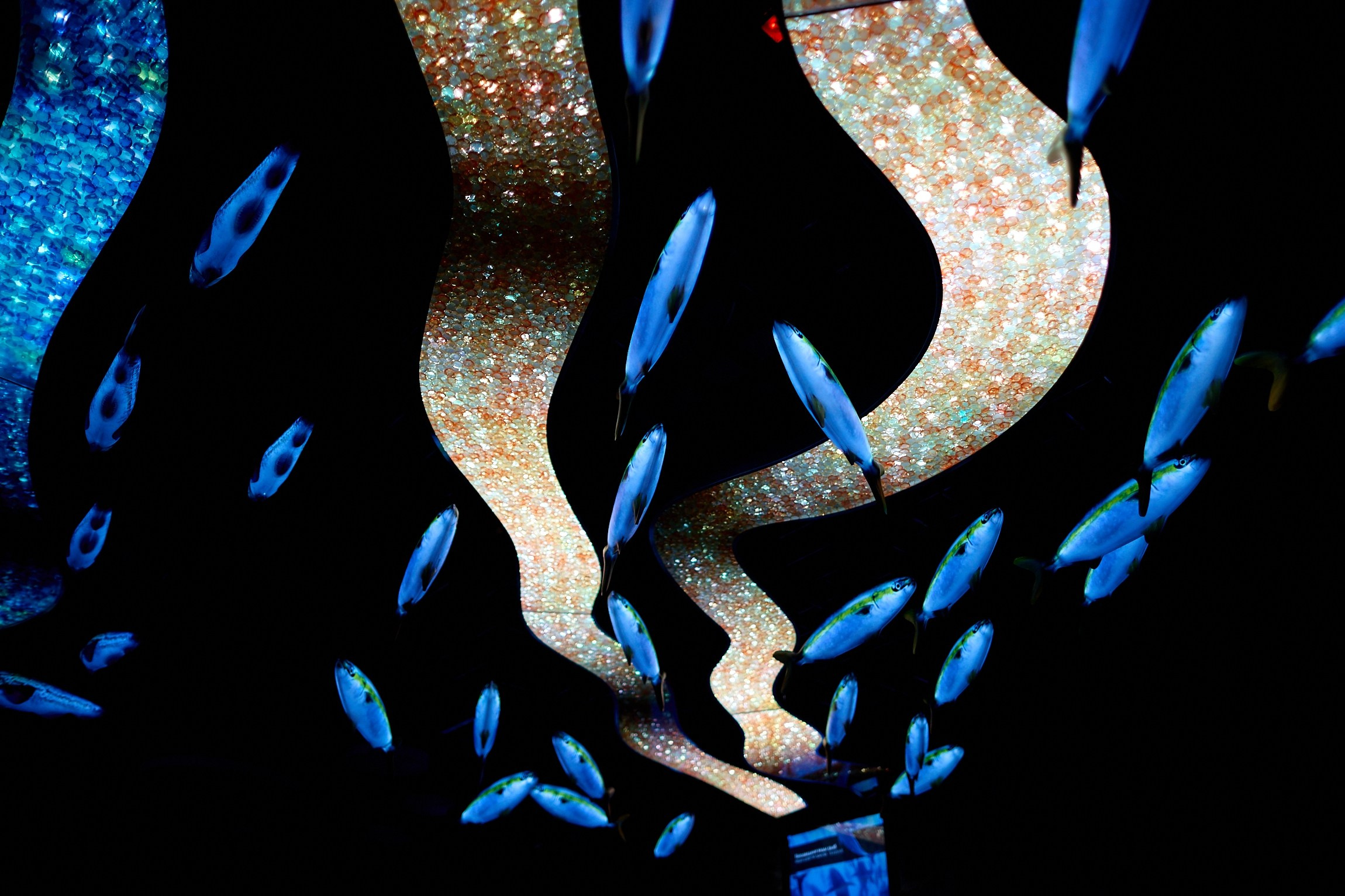 Университетские смены 2025. Репортажный и студийный фотограф во Владивостоке Дударева Софья