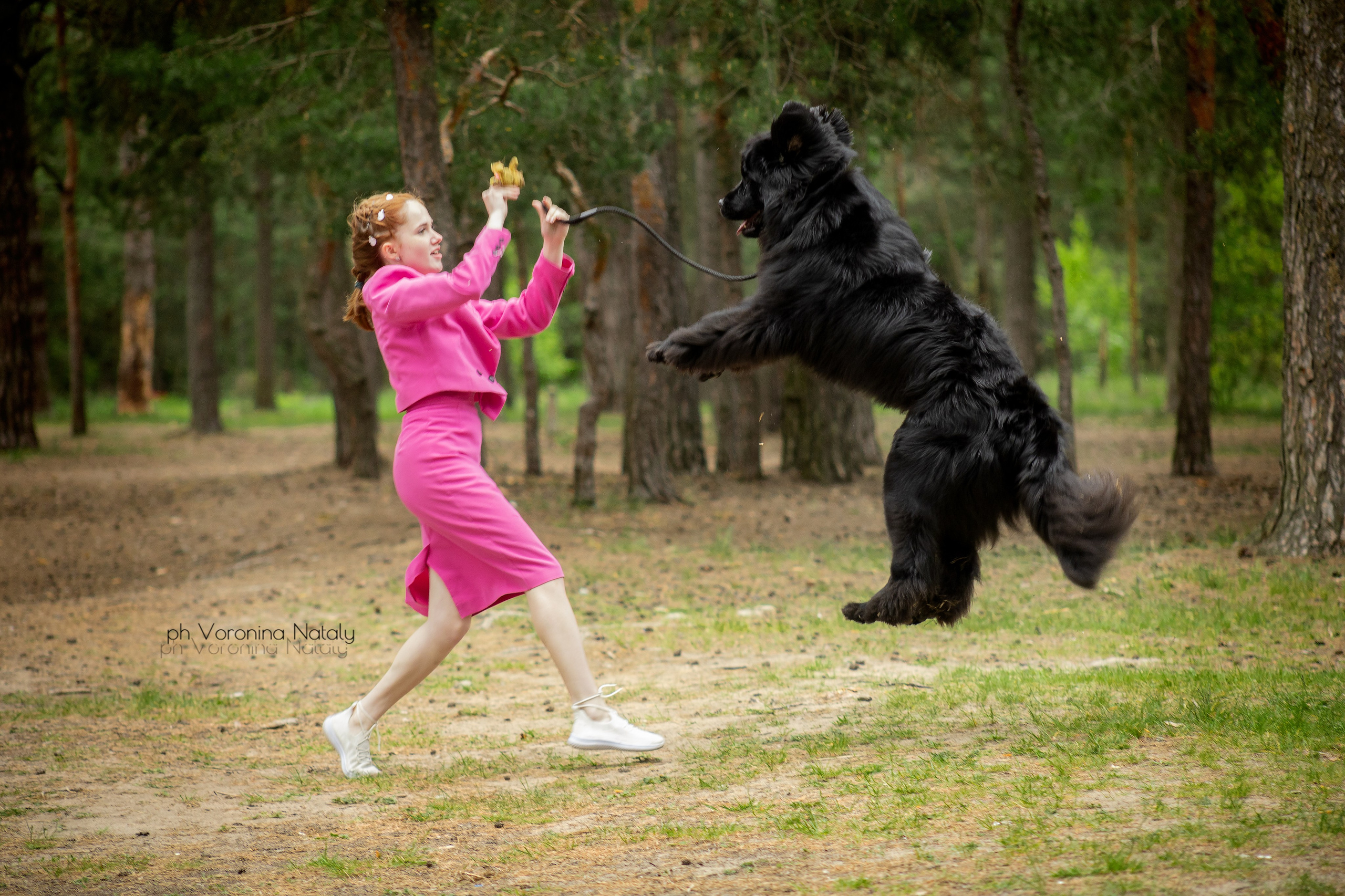 Анимализм г. Владимир. Воронина Наталия — индивидуальный и свадебный фотограф в Рязани