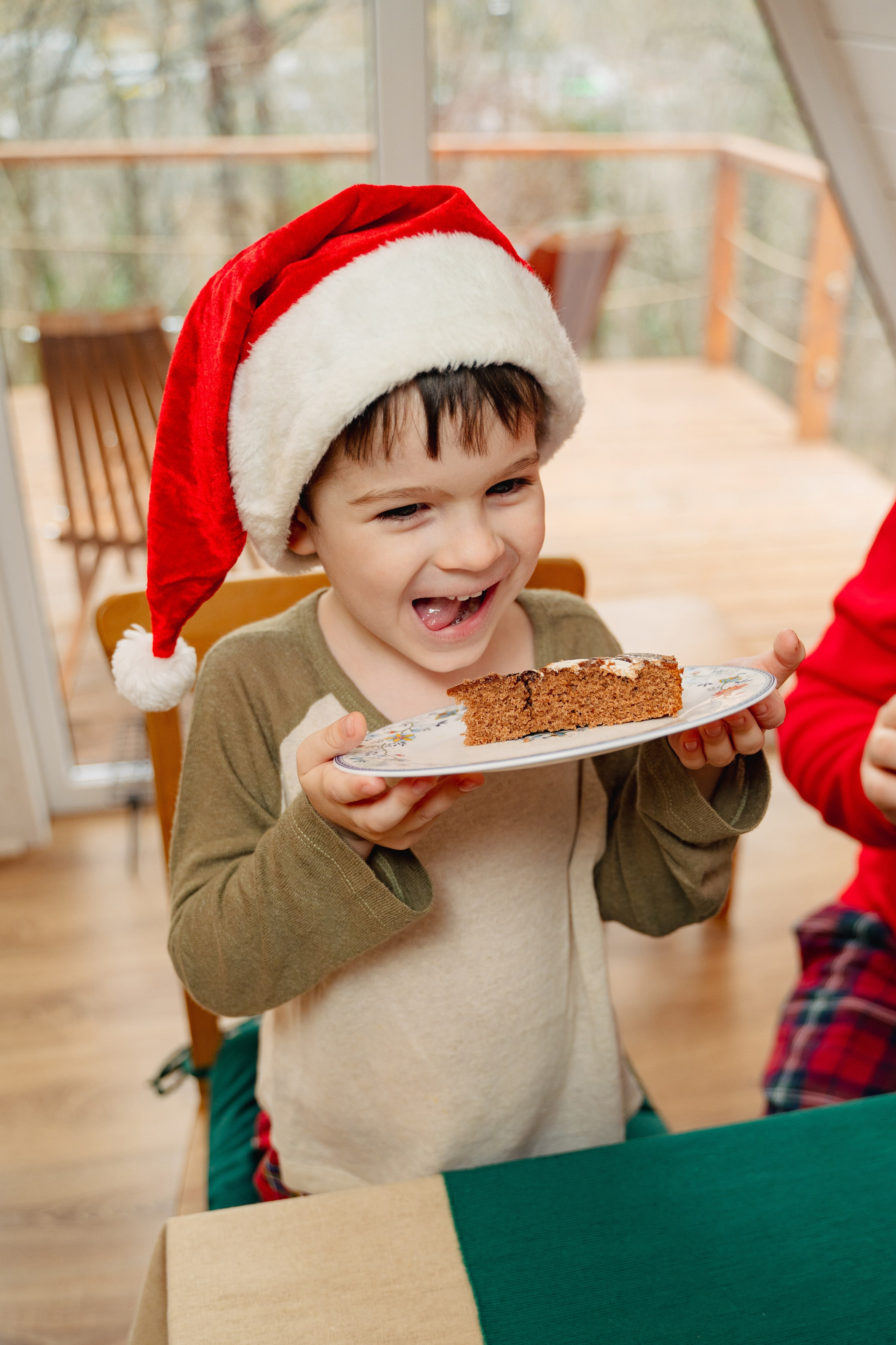 Новогодние. Елена Луковская. Семейная, портретная, репоражная съёмка