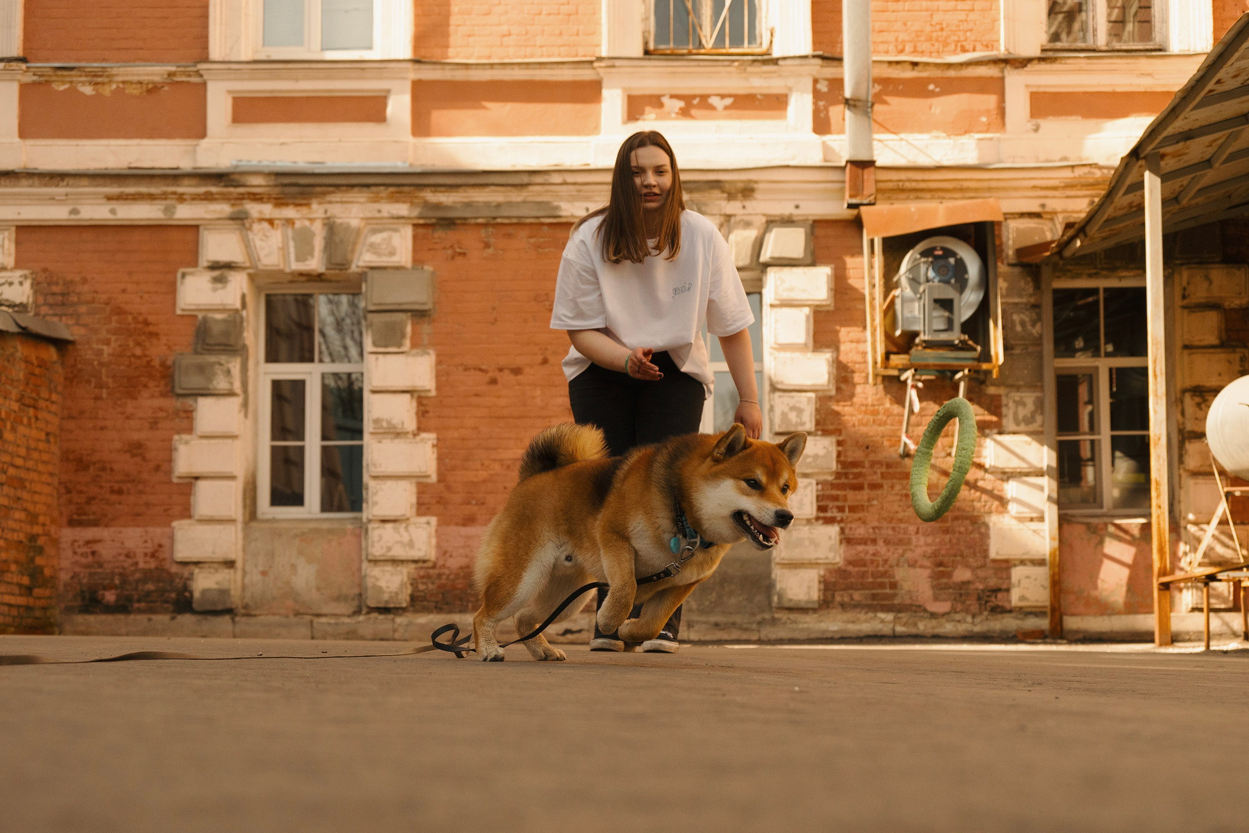 Юнки. Фотограф- анималист Александра Матвеева