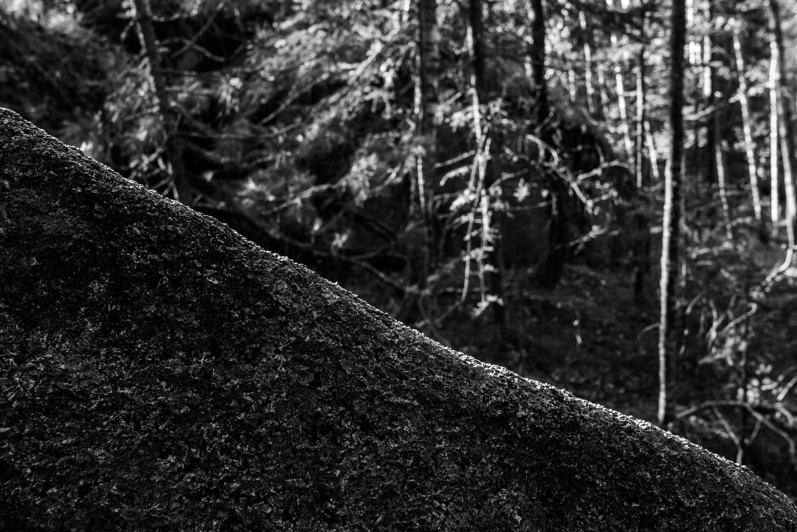 Серия «Архитектура природы: „Красноярские Столбы“». Фотограф в Москве Татьяна Макотра