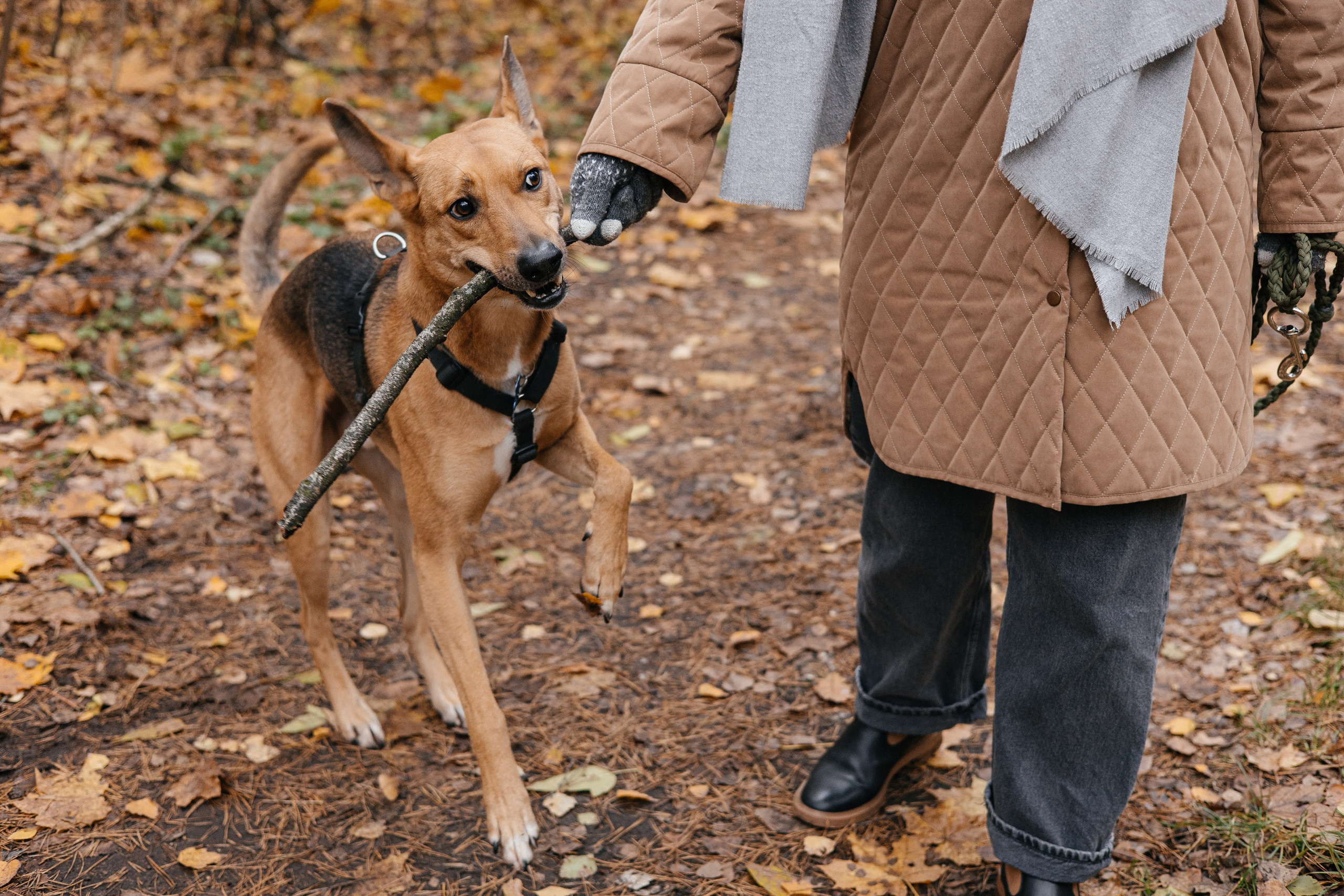 Нелли, Лёша, Рэй и Норд. Фотограф Анна Луценко Москва