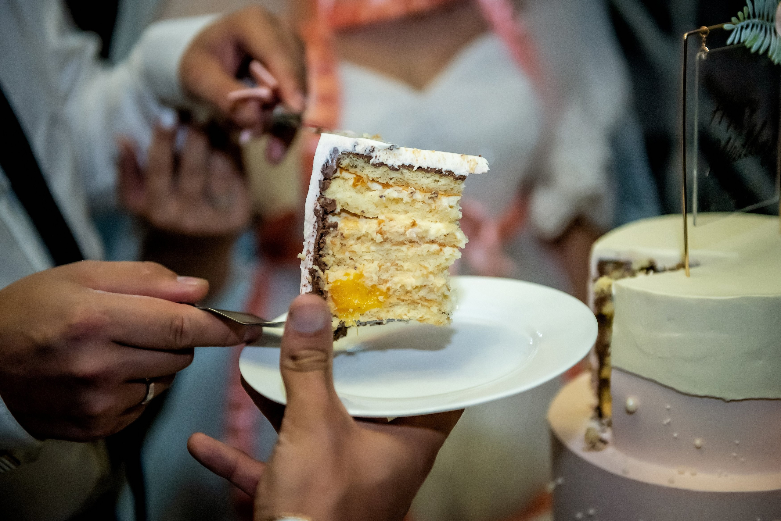 Портфолио свадебного фотографа — Искусство свадебной фотографии