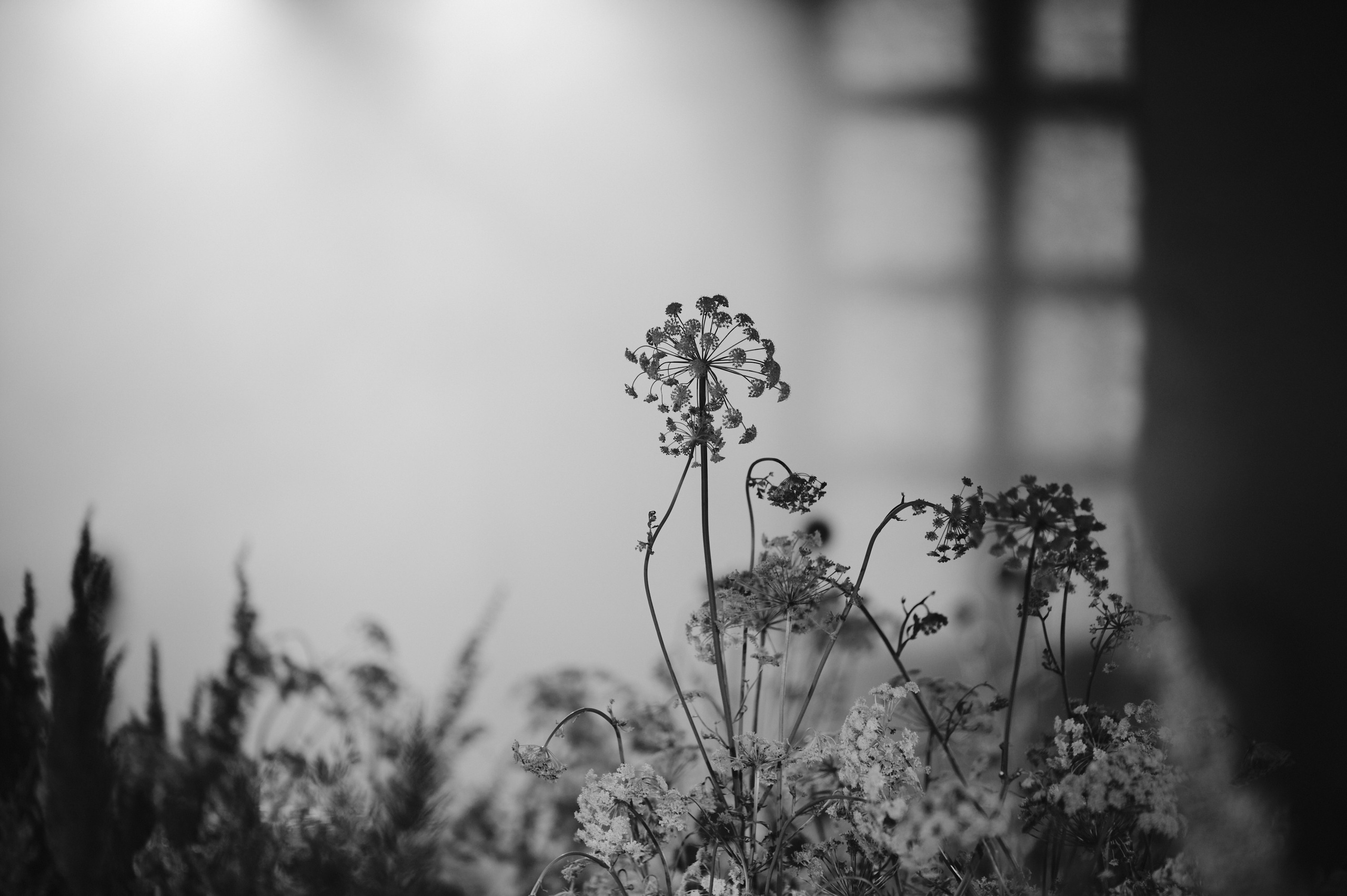 НЕСВОЕВРЕМЕННЫЕ МЫСЛИ. Коммерческий фотограф в Казани Ксения Добролюбова