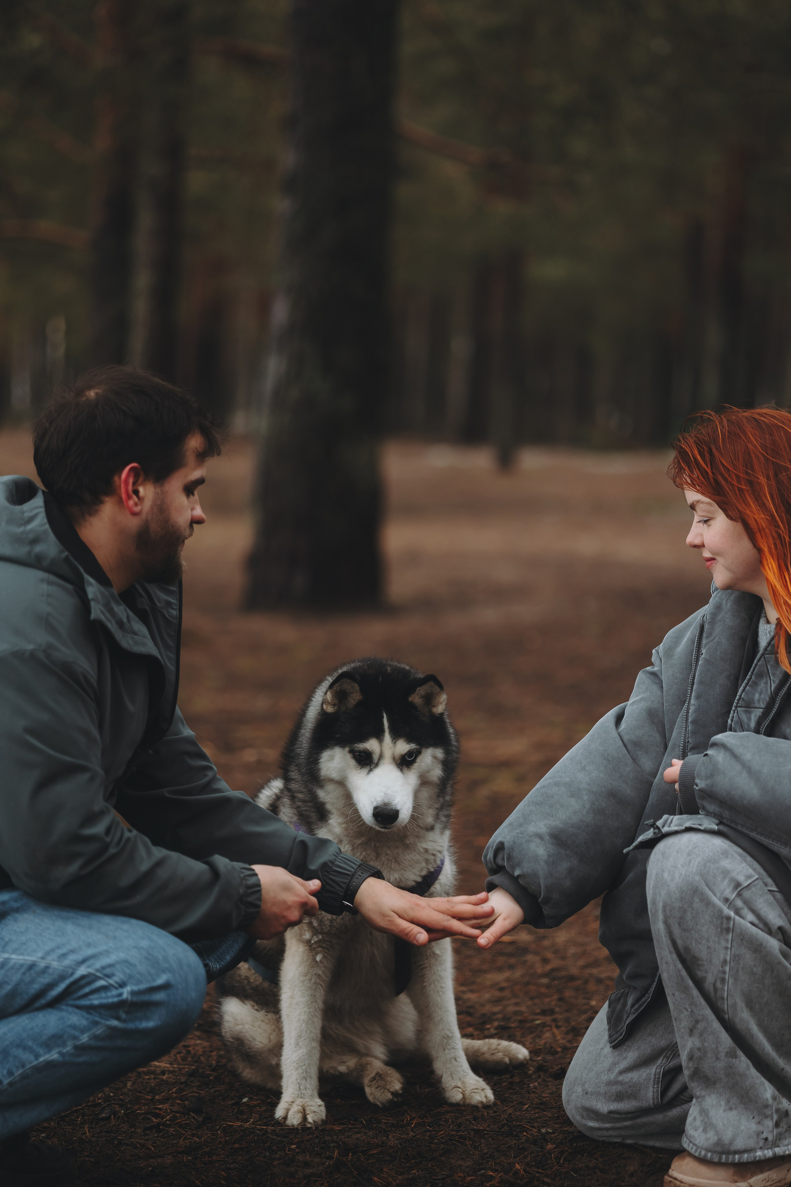 Катя, Илья и Эльза. Фотограф-анималист в Санкт-Петербурге Алина Яхонт