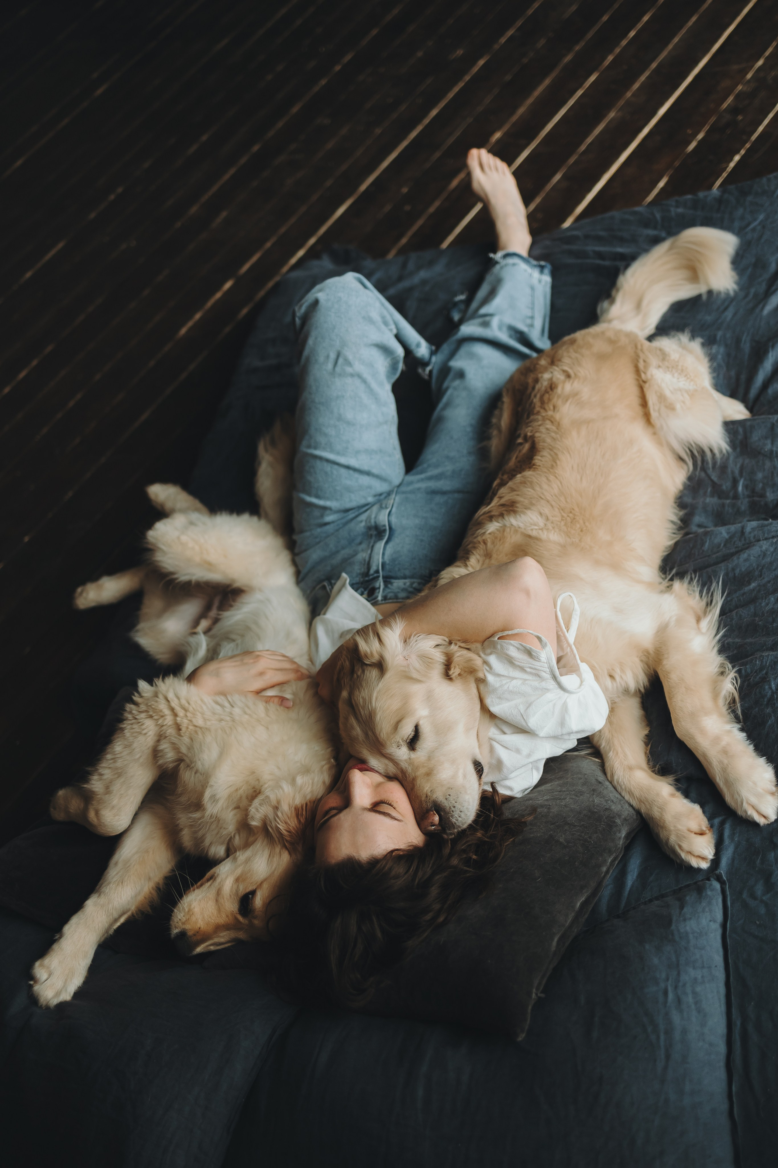 Настя, Арчи и Арагон. Фотограф-анималист в Санкт-Петербурге Алина Яхонт