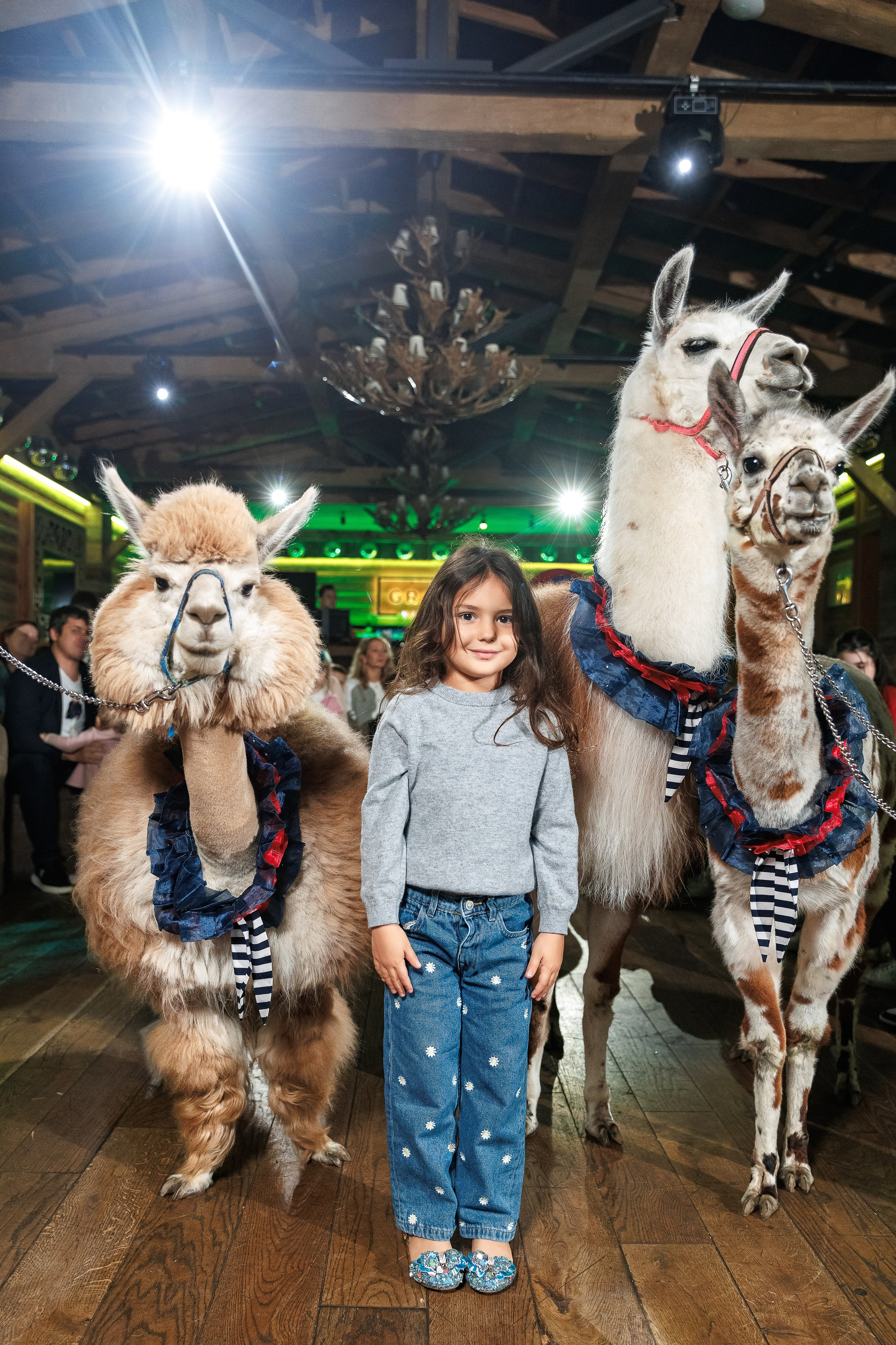 Лама и Альпака