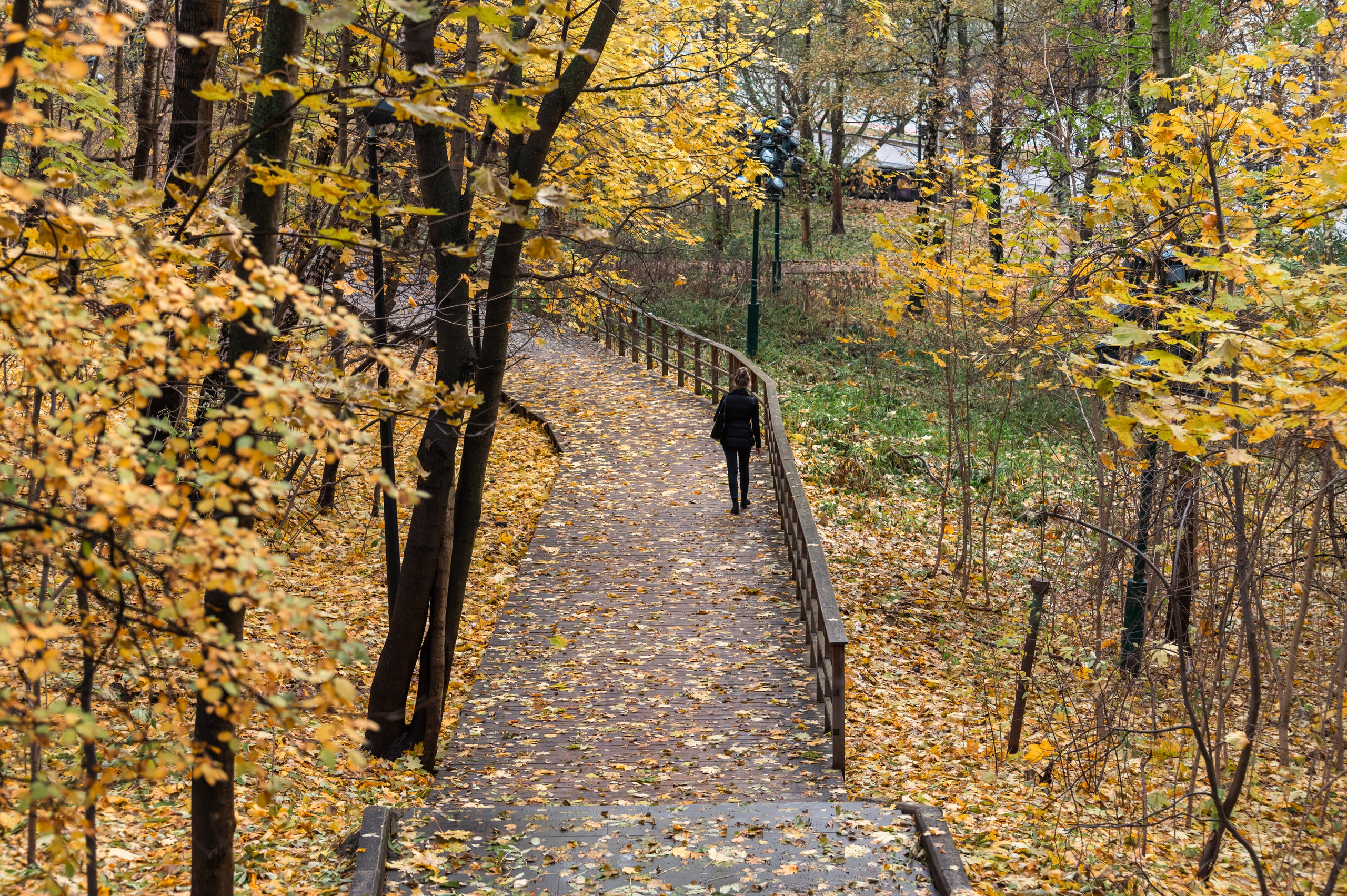 20231031 Нескучный сад. Дмитрий Ремизов. Фотография, как хобби