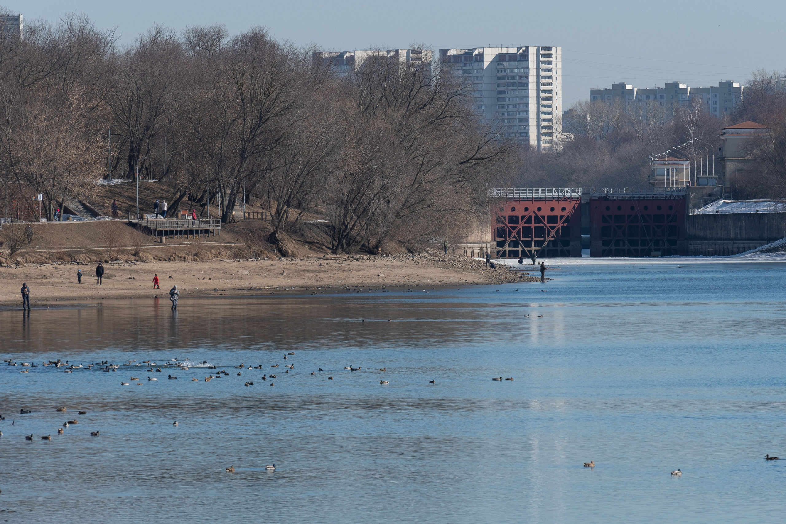 20220320 Коломенское. Дмитрий Ремизов. Фотография, как хобби