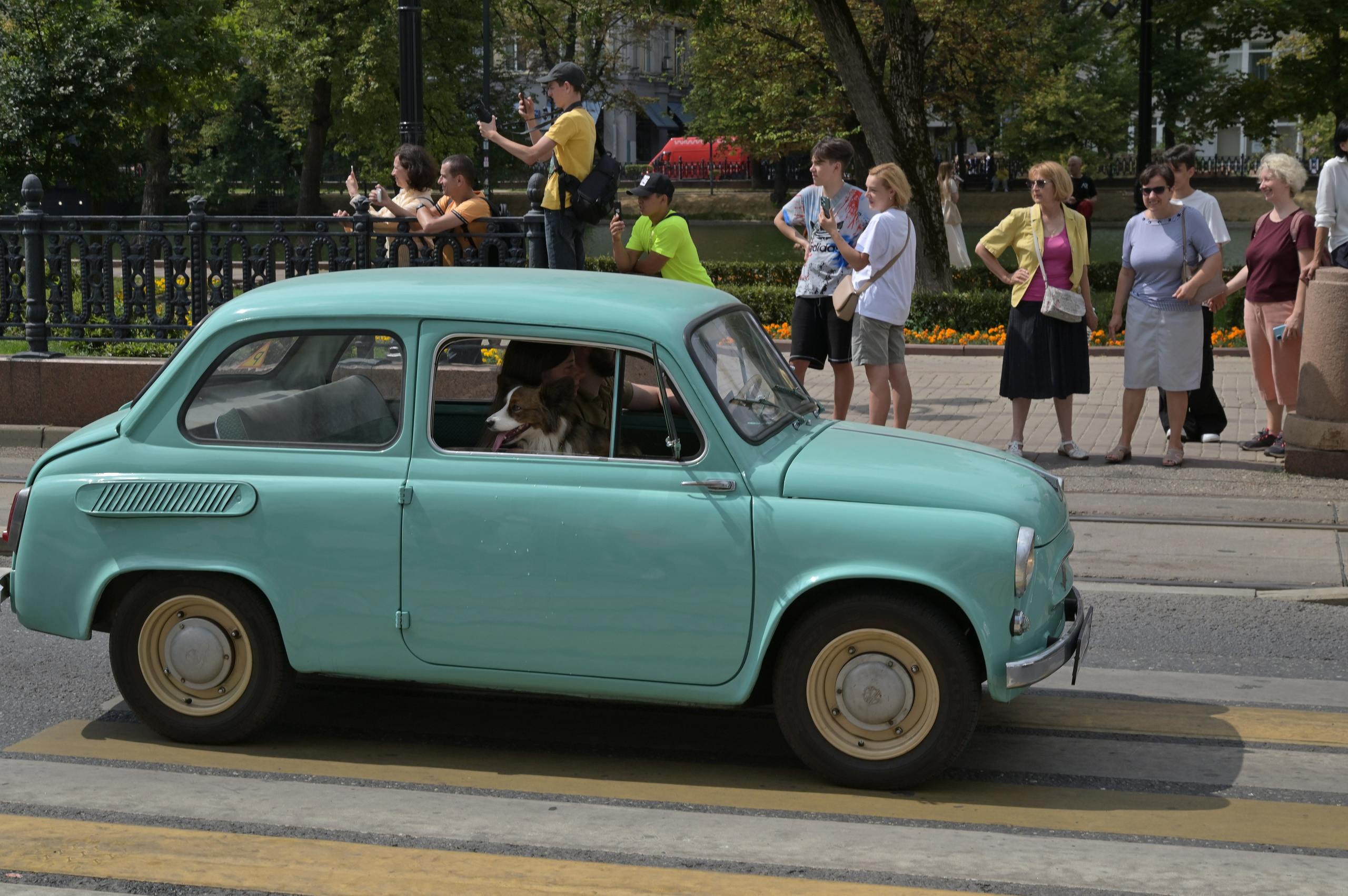 20240713 Парад трамваев. Дмитрий Ремизов. Фотография, как хобби