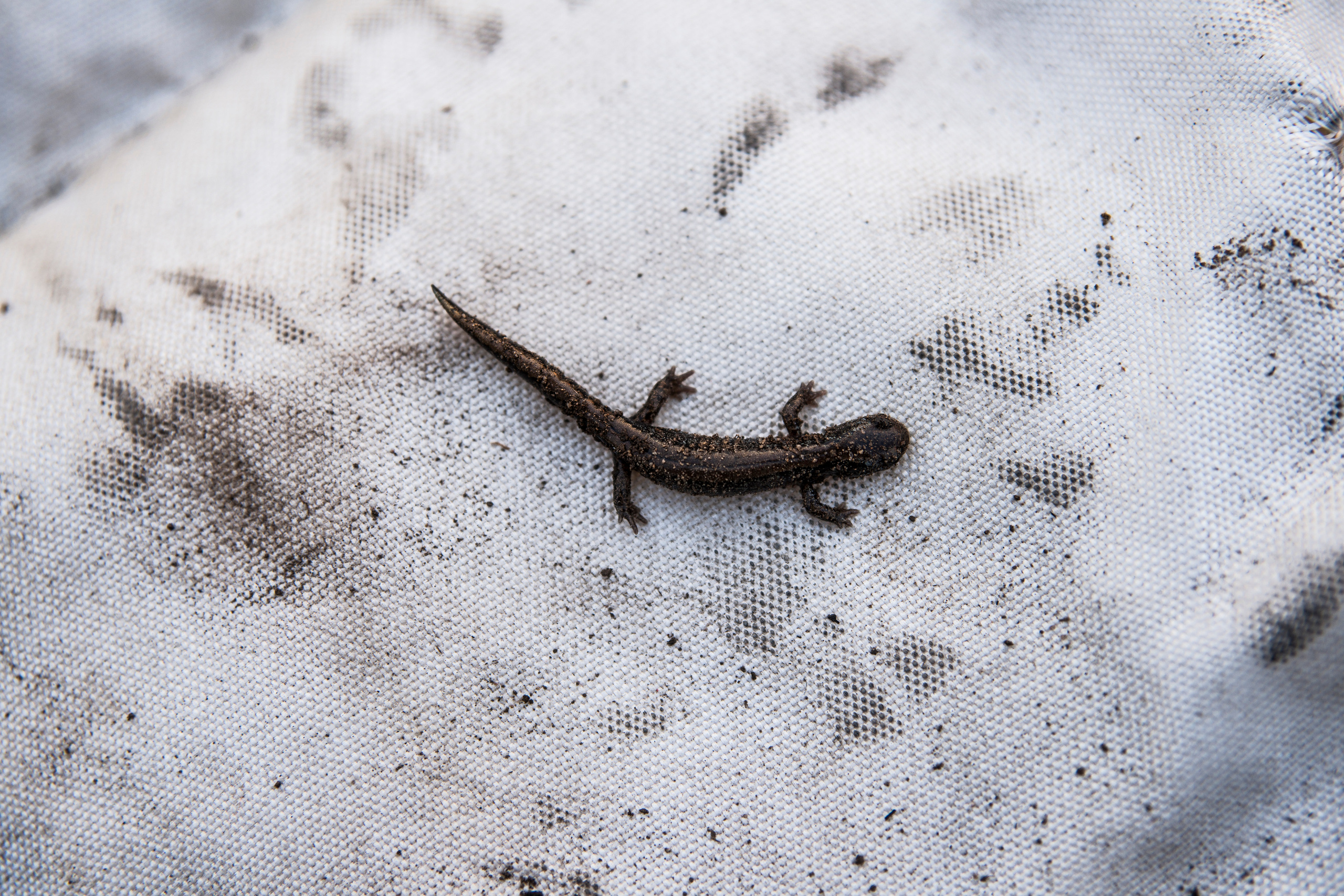 Фотограф и художница в Хабаровске Татьяна Трубникова
