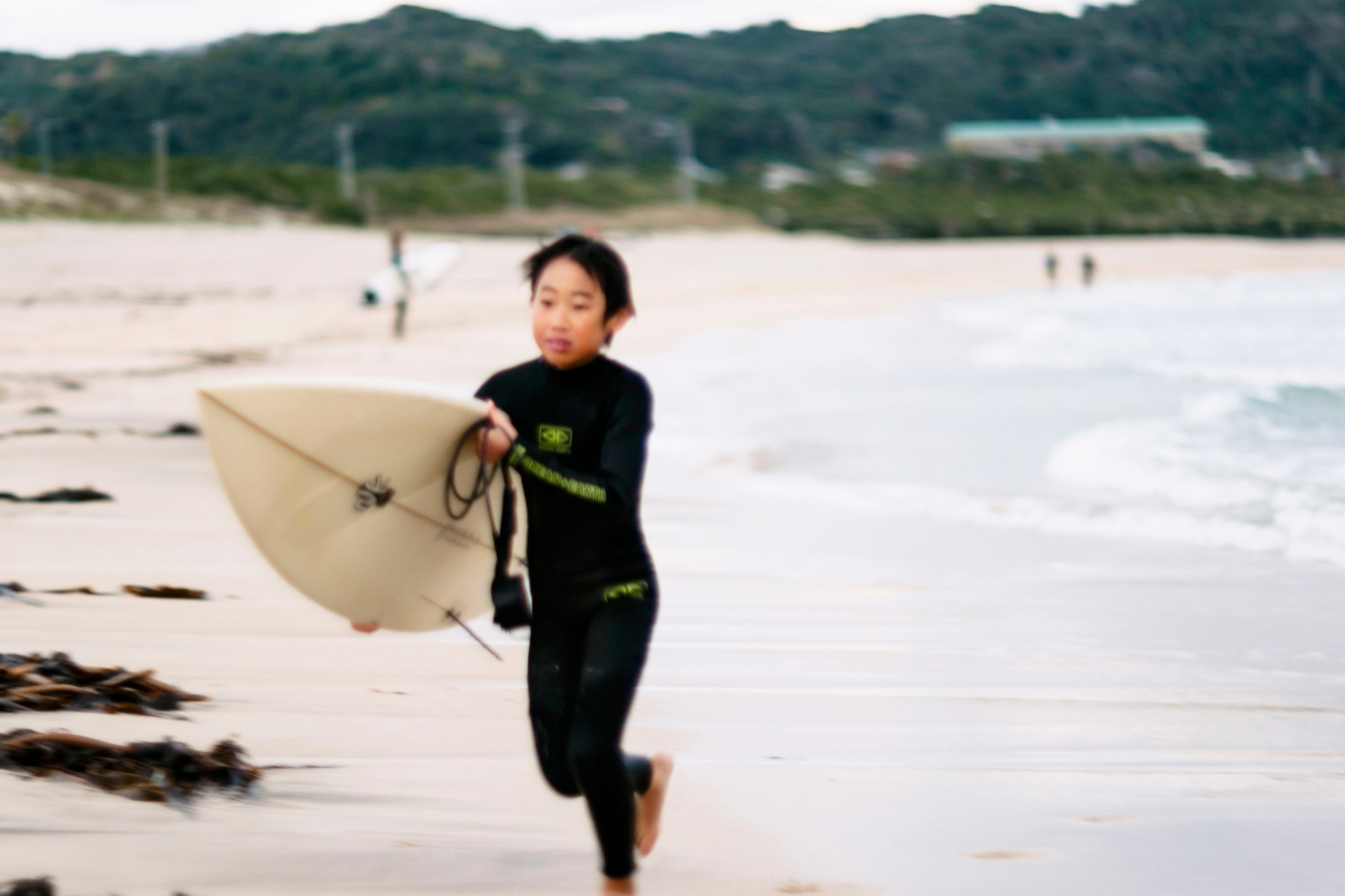 Japan village. Iraogo