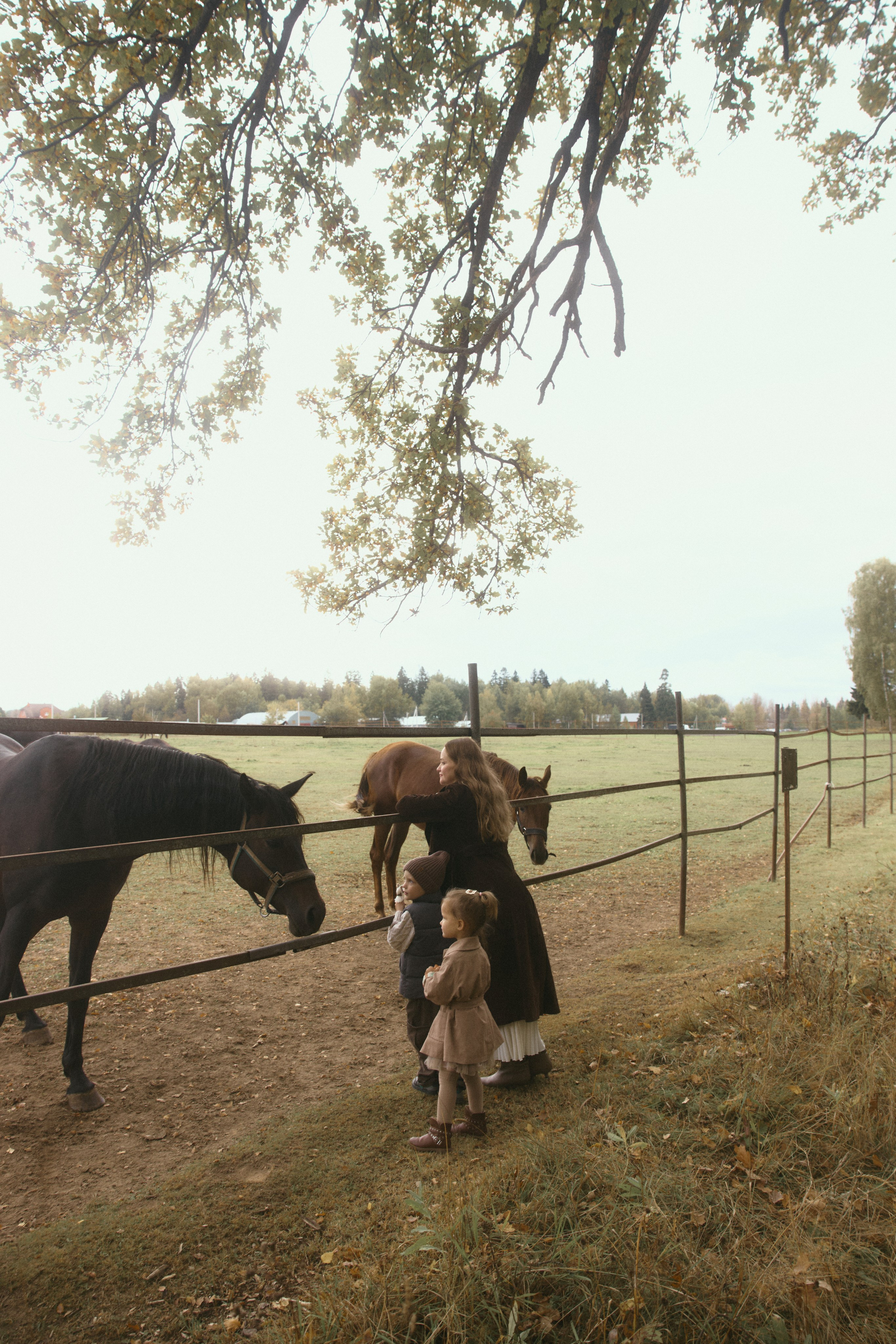 Дима + Юля + Гриша + Ариша. Семейный и детский фотограф Юлия Шох