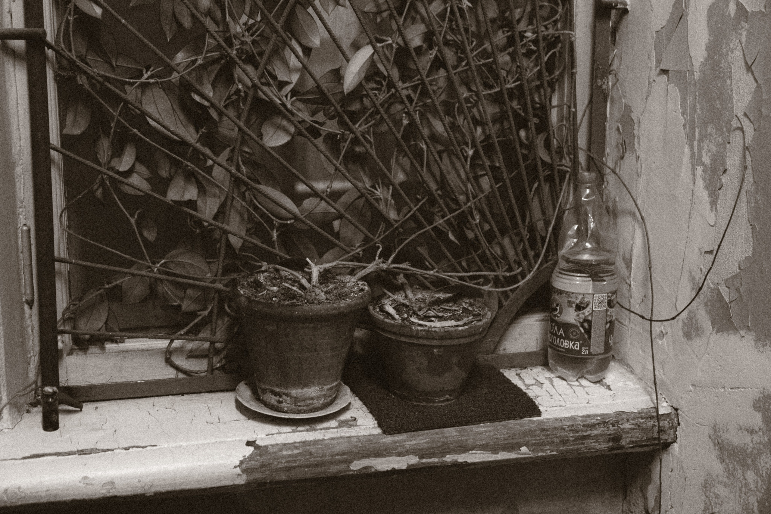 ТАСС. Фотограф Мурманск | Нижний Новгород • Анна Хижняк