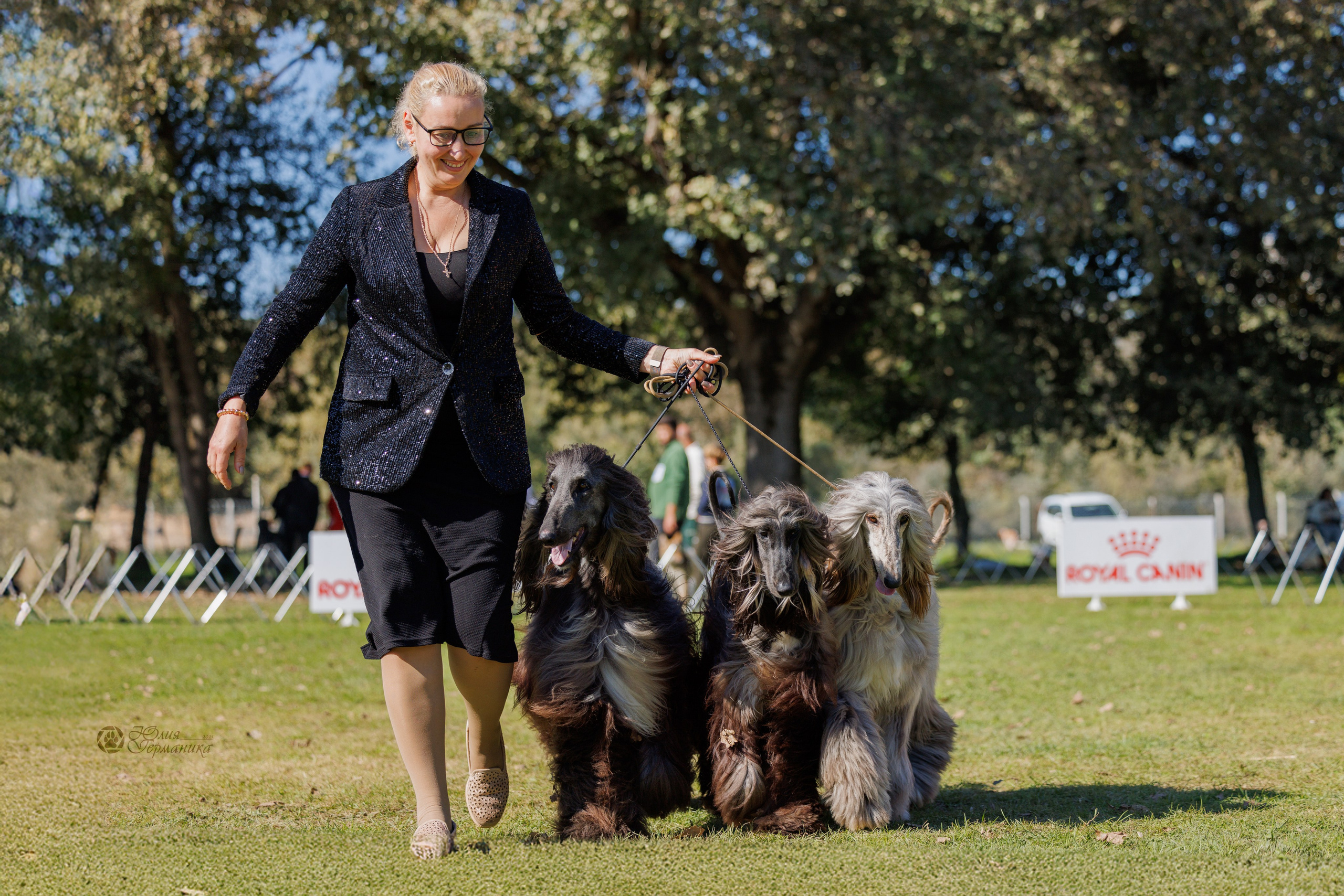 Туция,Стамбул 2хCACIB 26-27.10.24. Фотограф-анималист Юлия Германика