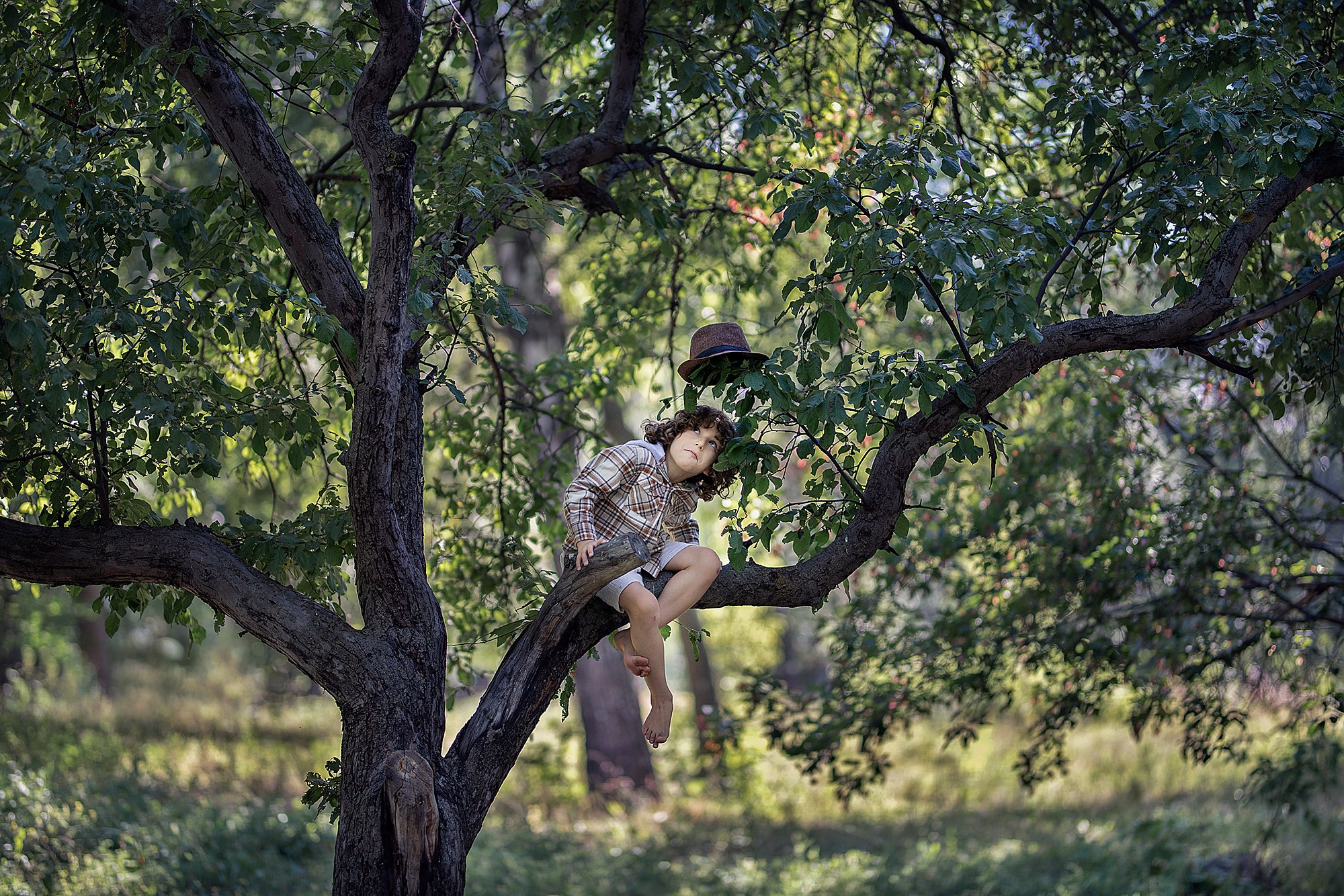 Лев. Фотограф Александр Солнечный