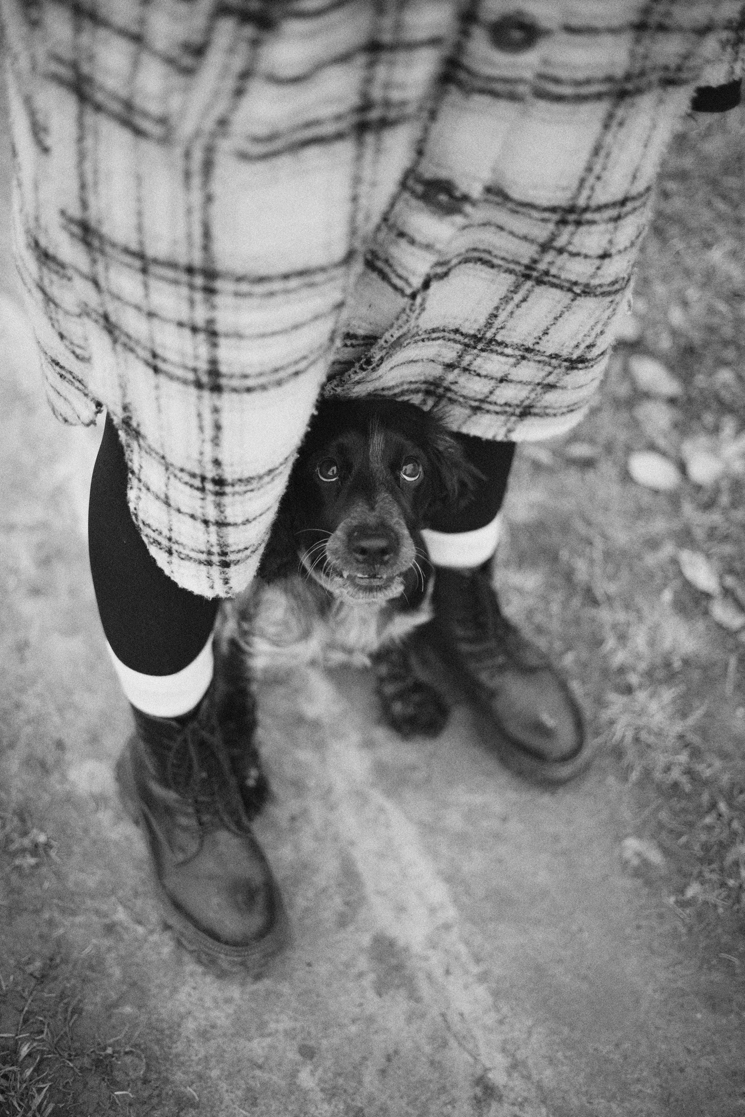 Вика и Ава. Фотограф-анималист Богданова Полина