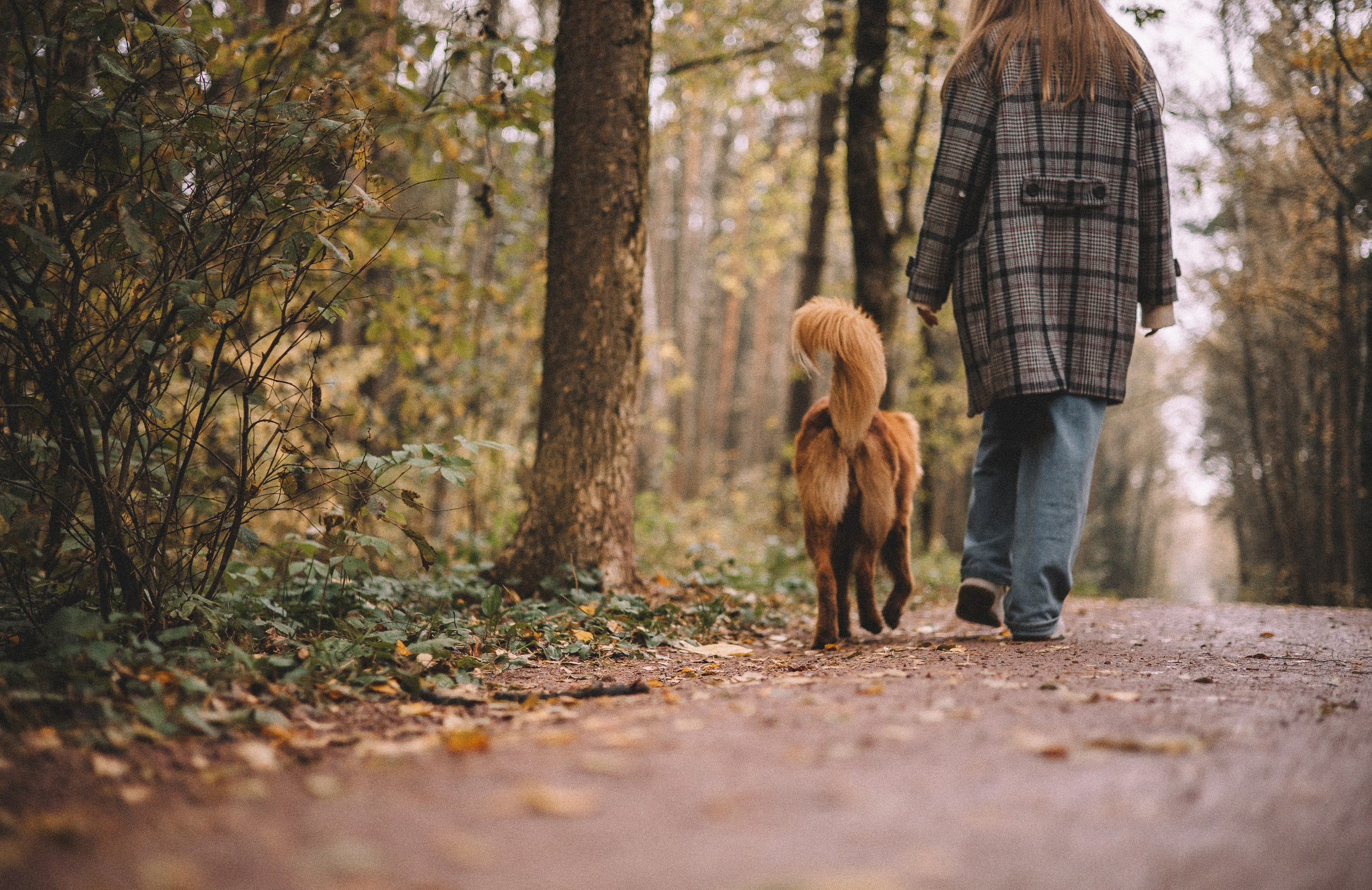 Алина и Бис. Фотограф-анималист Богданова Полина