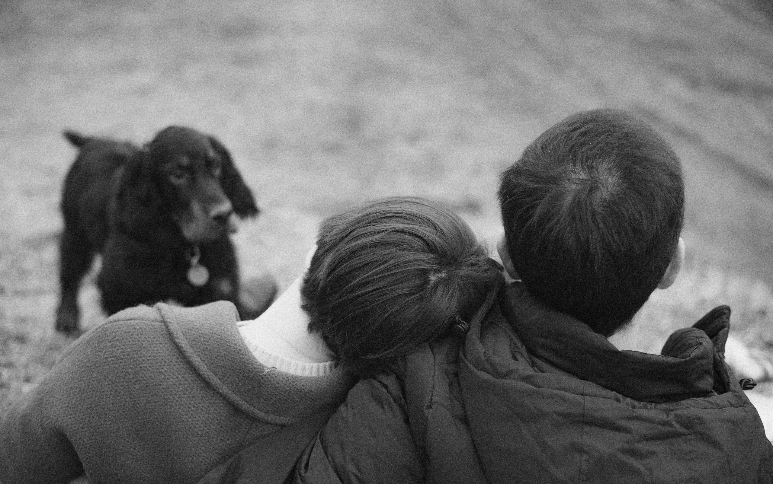 Даша, Глеб, Барс и Бруно. Фотограф-анималист Богданова Полина